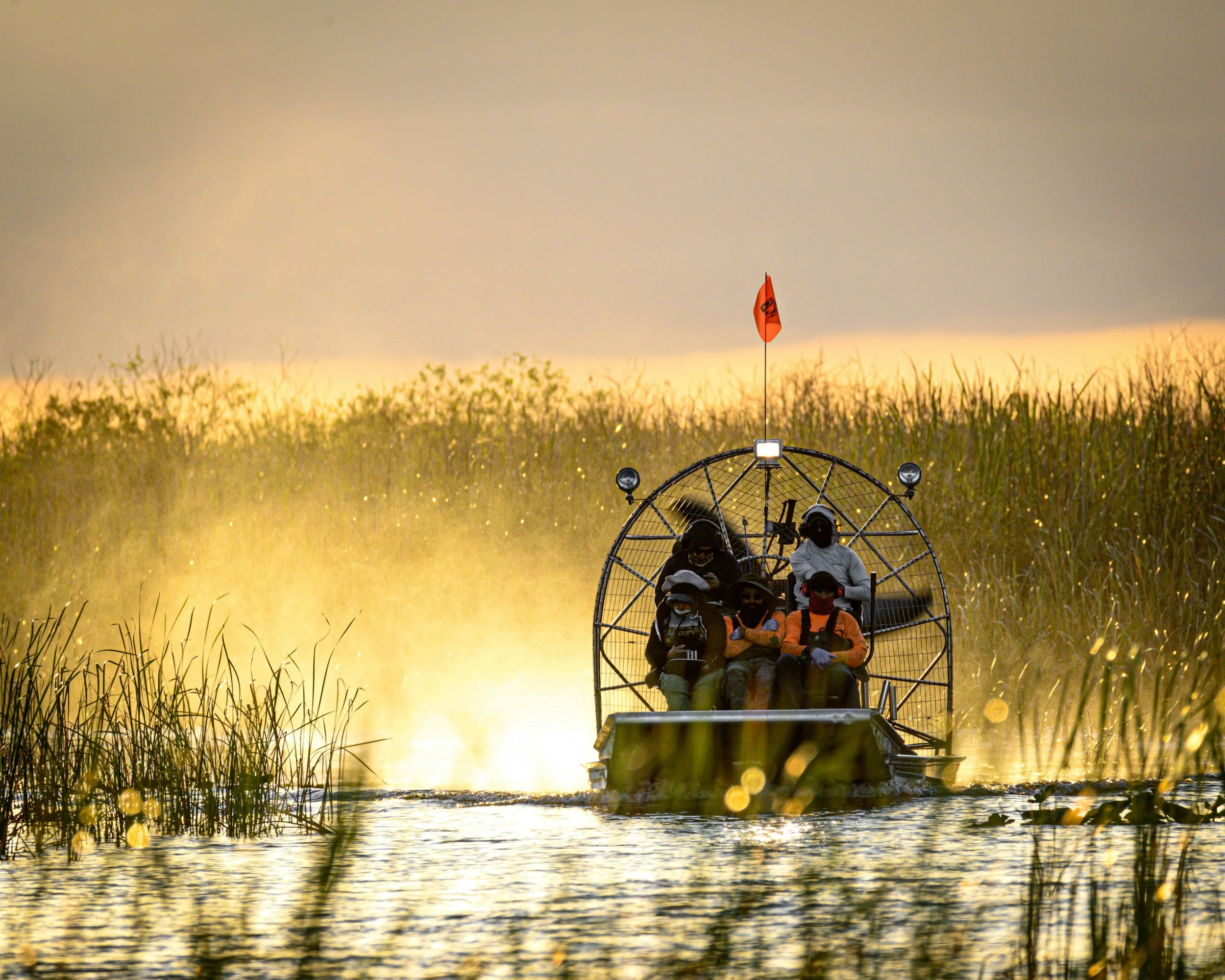 An airboat roars across the water of Everglades National Park surrounded by tall grass and reeds. Drives & Detours Top sights in Miami