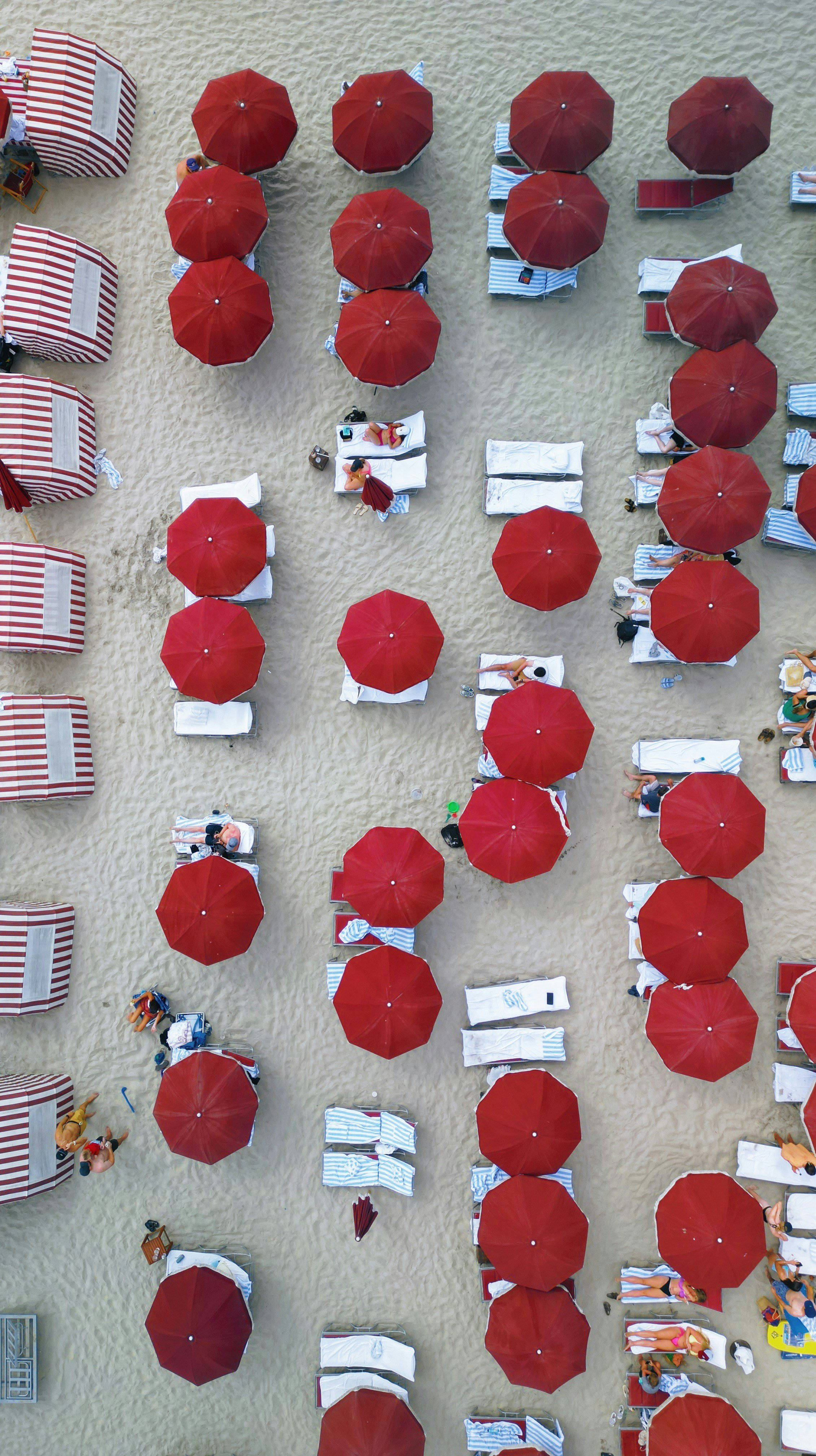 A top down view of Coronado Beach. Red umbrellas cover beach loungers that are lined up in rows