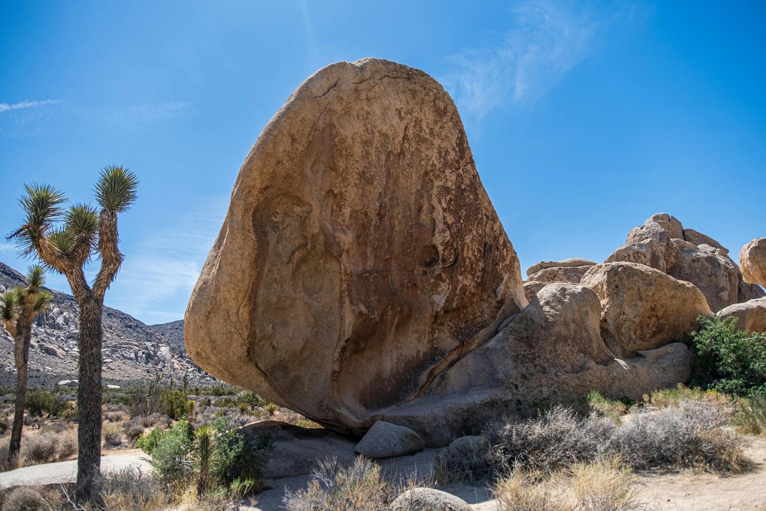 Why a Self-Guided Tour is the Absolute Best Way to See Joshua Tree ...