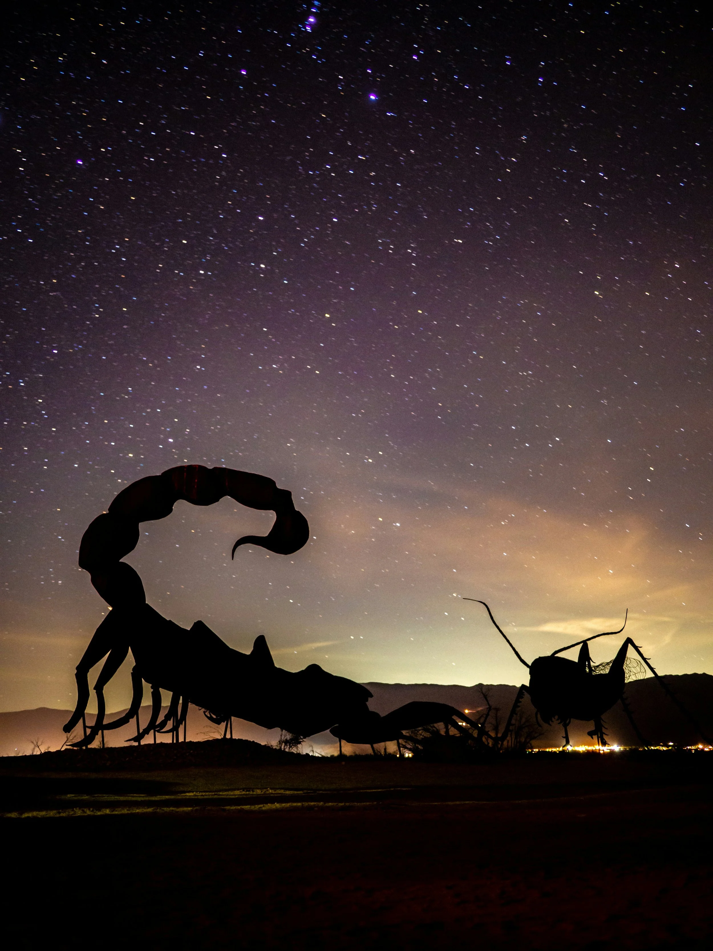 Statues of a scorpion and locust under a starry night sky. These Borrego Springs Sculptures almost look as if they are fighting