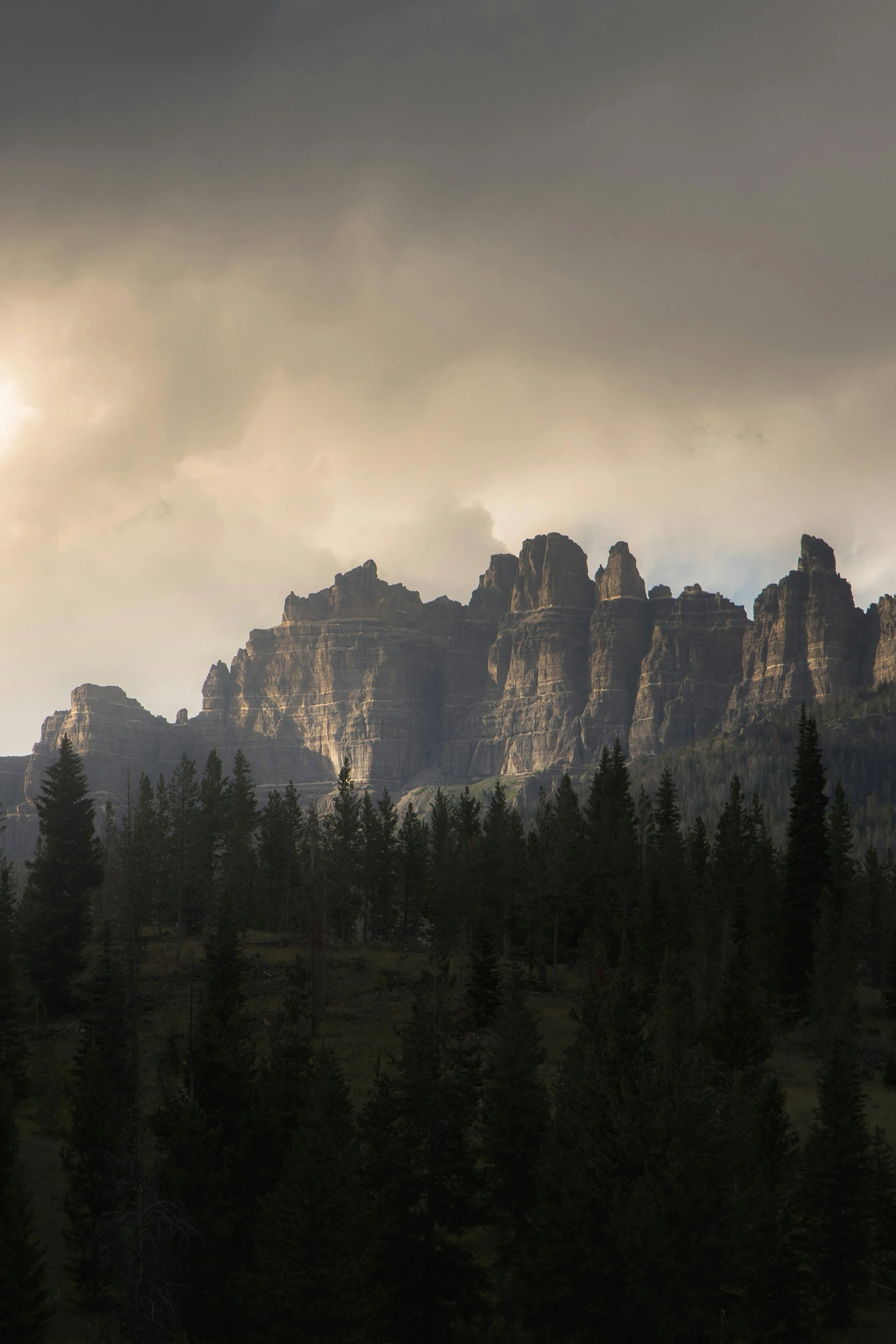 Jagged cliffs tower over a pine forest in Yellowstone National Park. Drives & Detours Yellowstone driving tour