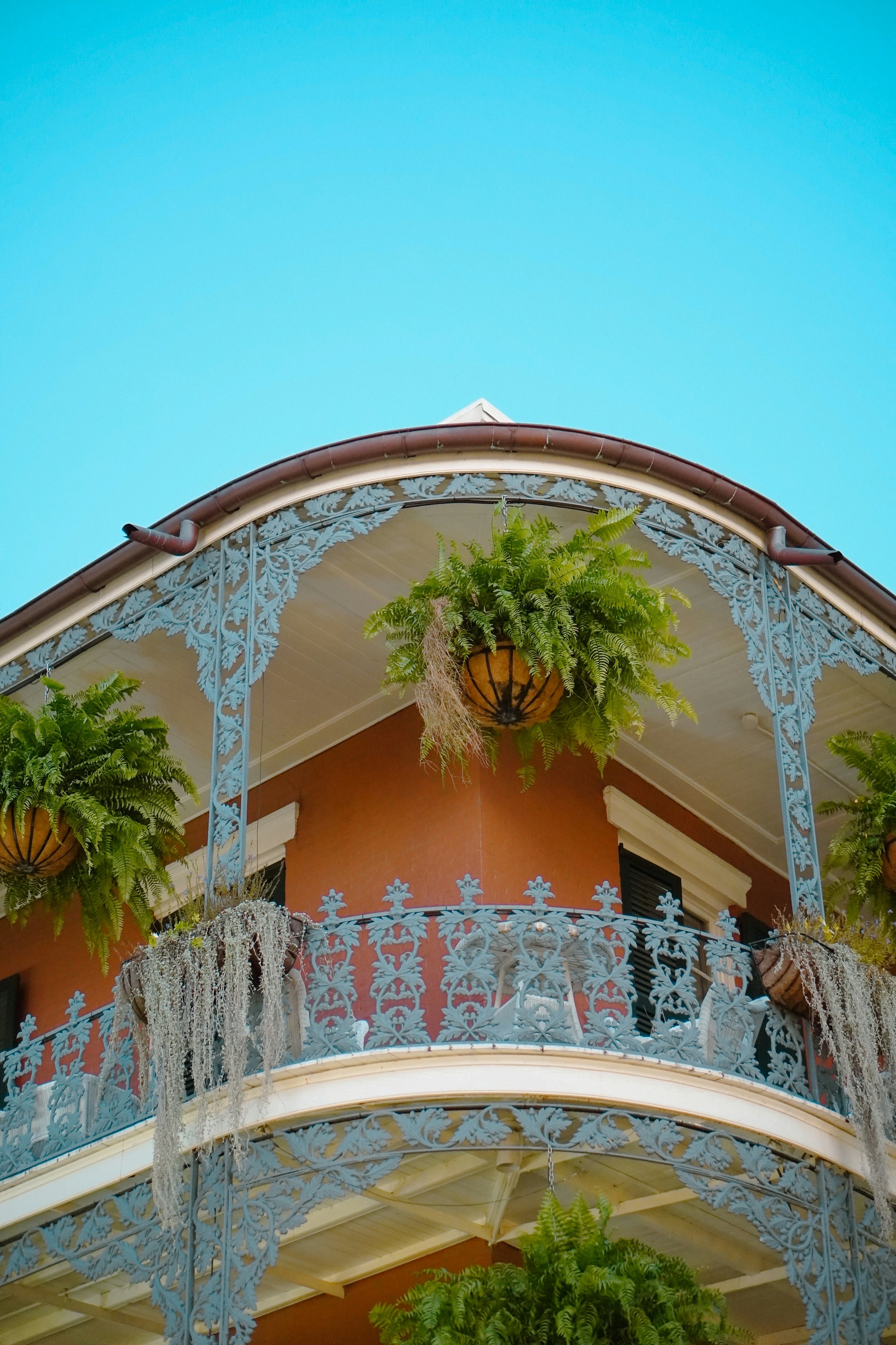 A detail of one of New Orleans' balconies. The ironwork is floral and painted white. Hanging baskets full of ferns drop from the ceilings. The sky is a bright blue