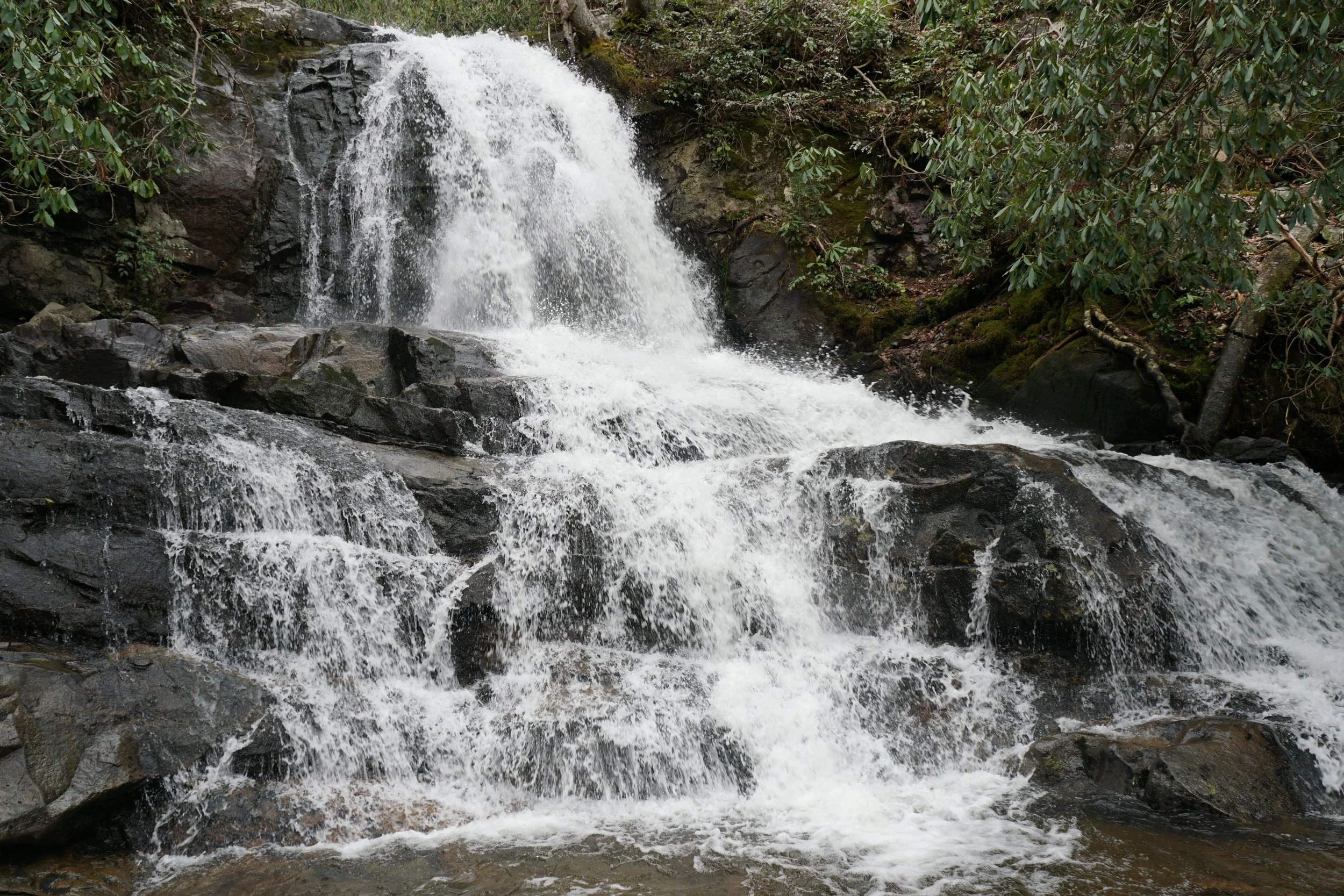 The Laurel Falls cascade over rocks into a pool surrounded by greenery. Drives & Detours Top Sights in the Great Smoky Mountains