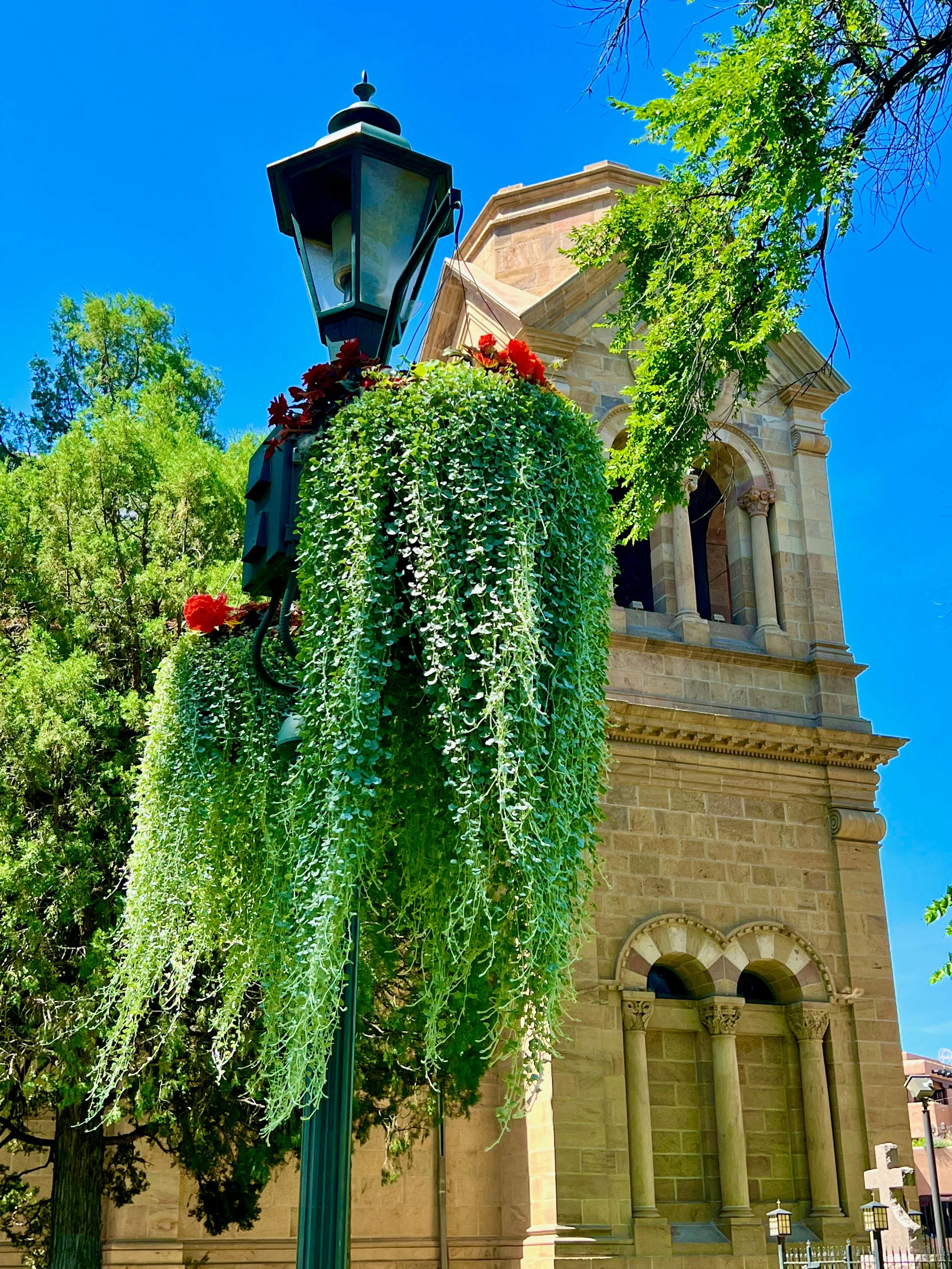 A hanging basket of flowers droops from a lamppost outside the Cathedral Basilica of St. Francis of Assisi in Santa Fe