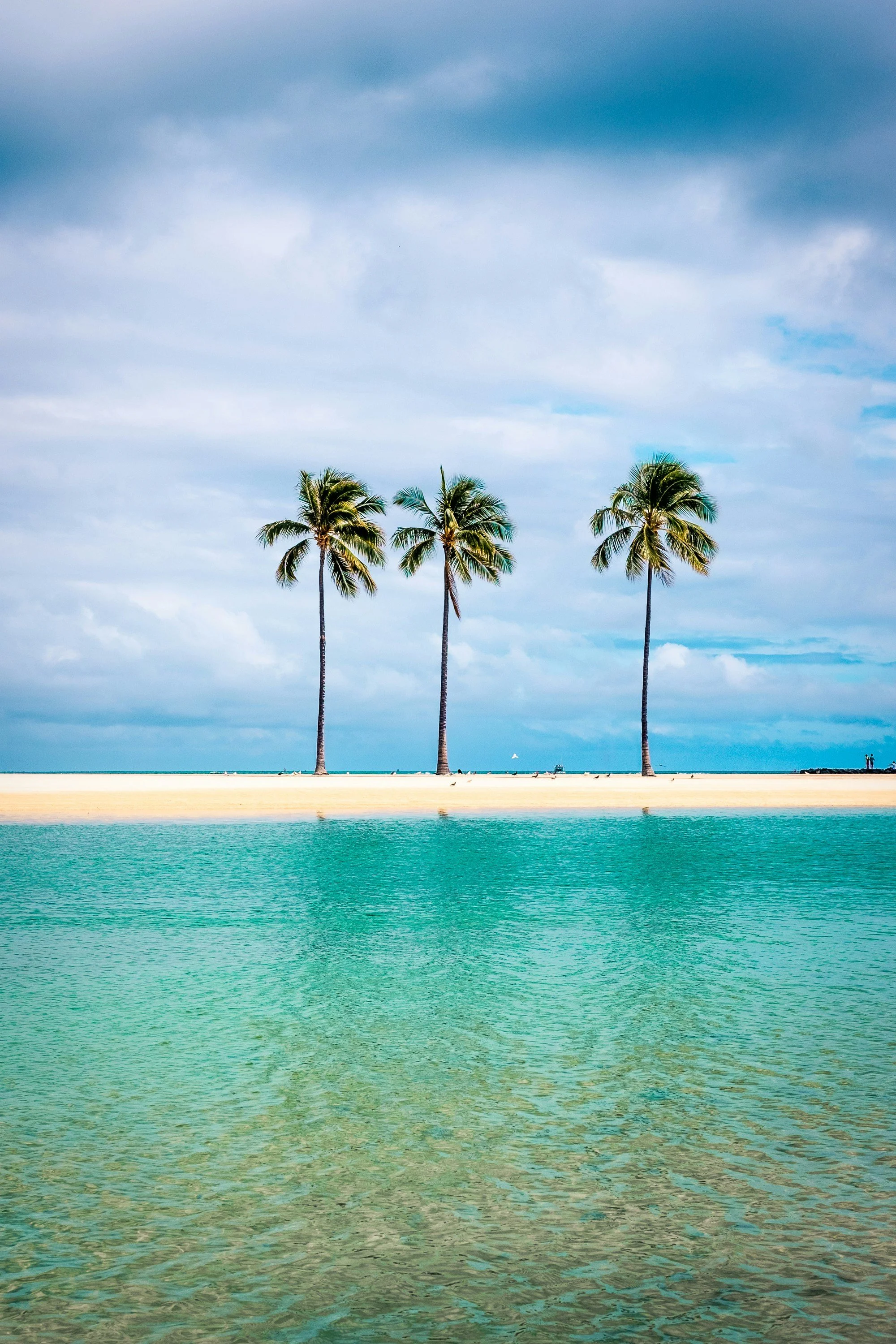 Three palm trees can be seen on Waikīkī across the sea.