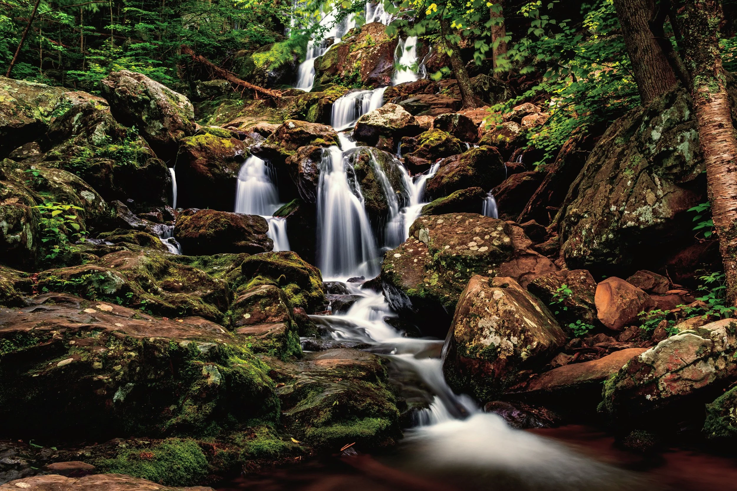 A waterfall tumbles through a forest in Shandoah National Park