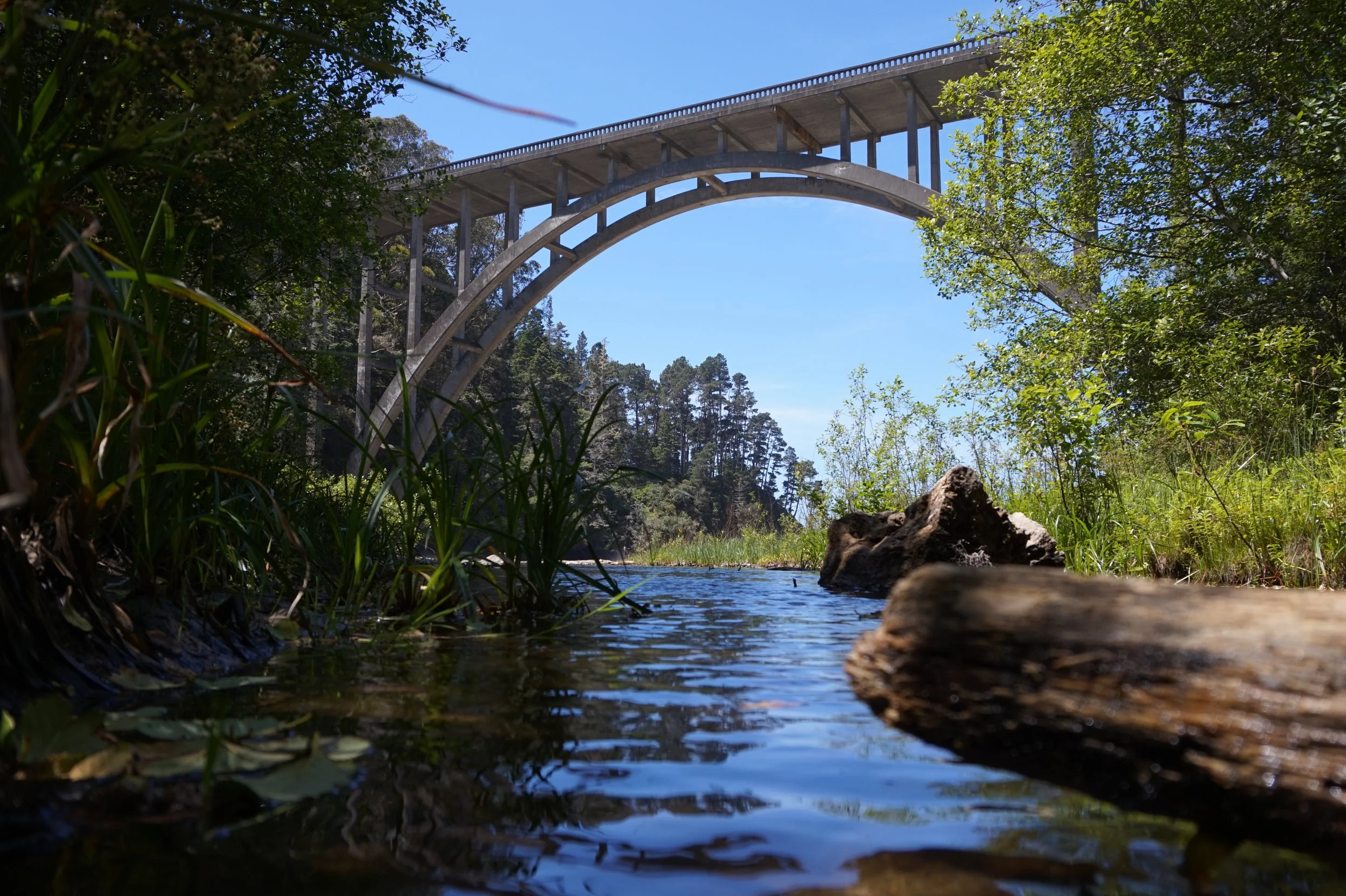 The Russian Gulch Bridge crosses a creek near Mendocino, California