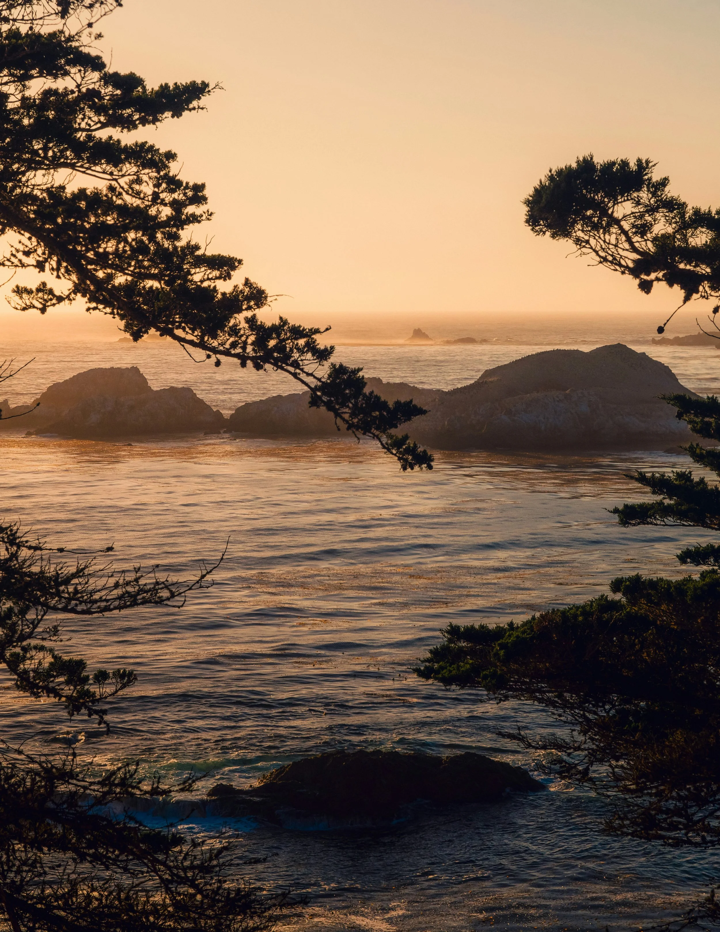 The sun sets over rock, trees and the Pacific Ocen on the Big Sur coast near Monterey.