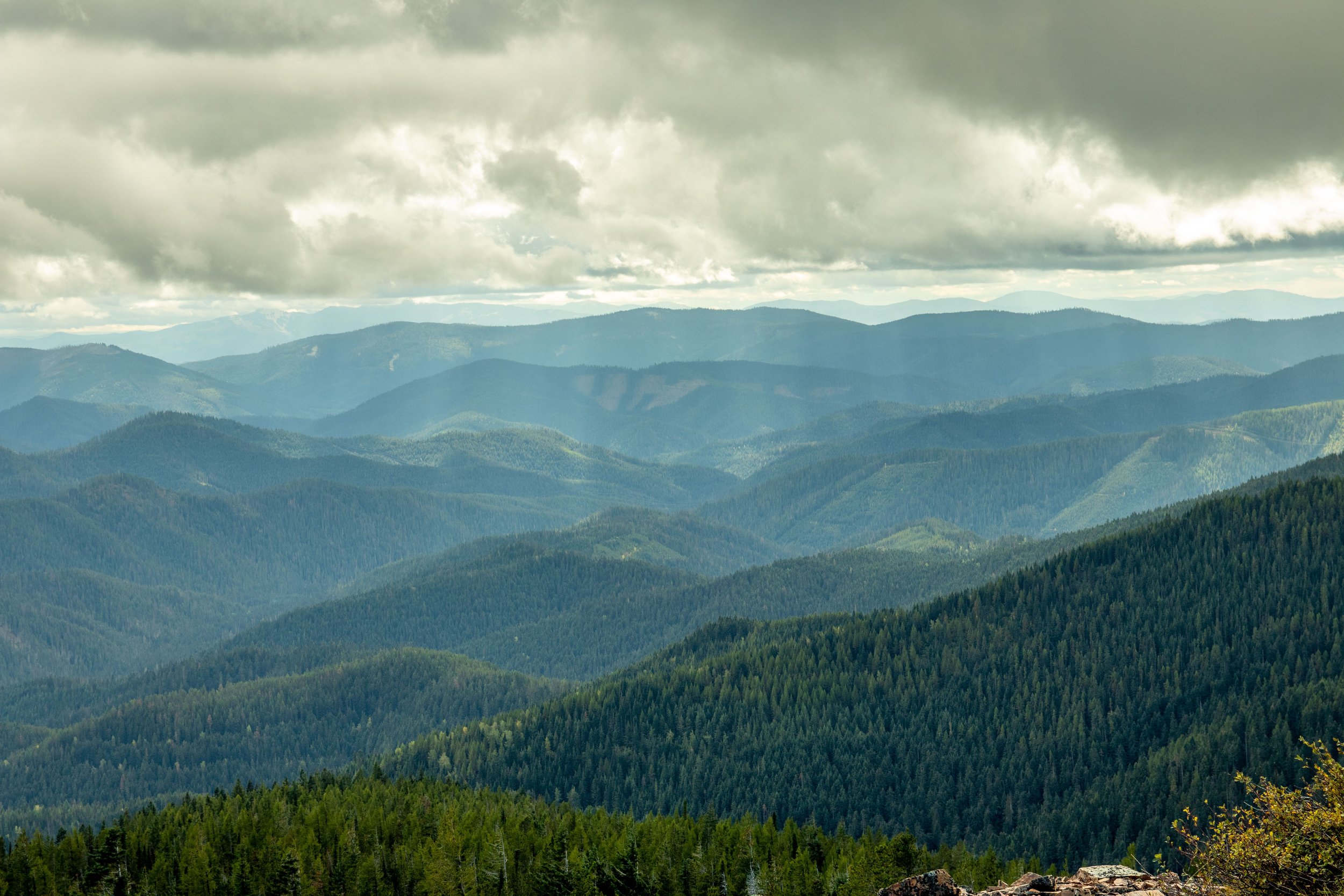 The hills and valleys of Idaho are covered by fir tree forests