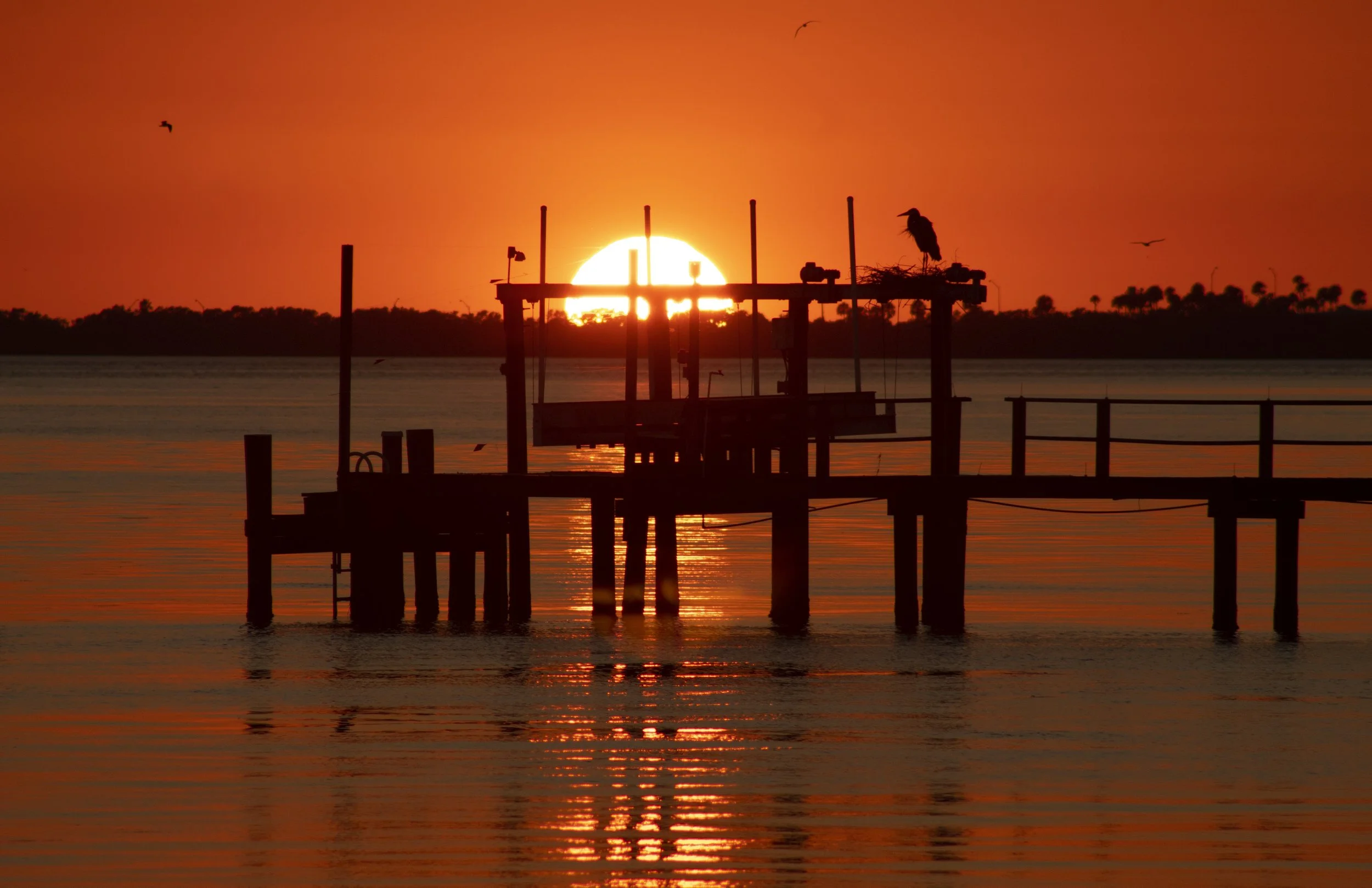 A heron sits on some old wooden docks as the sun sets behind it. Drives & Detours Top attractions in Tampa