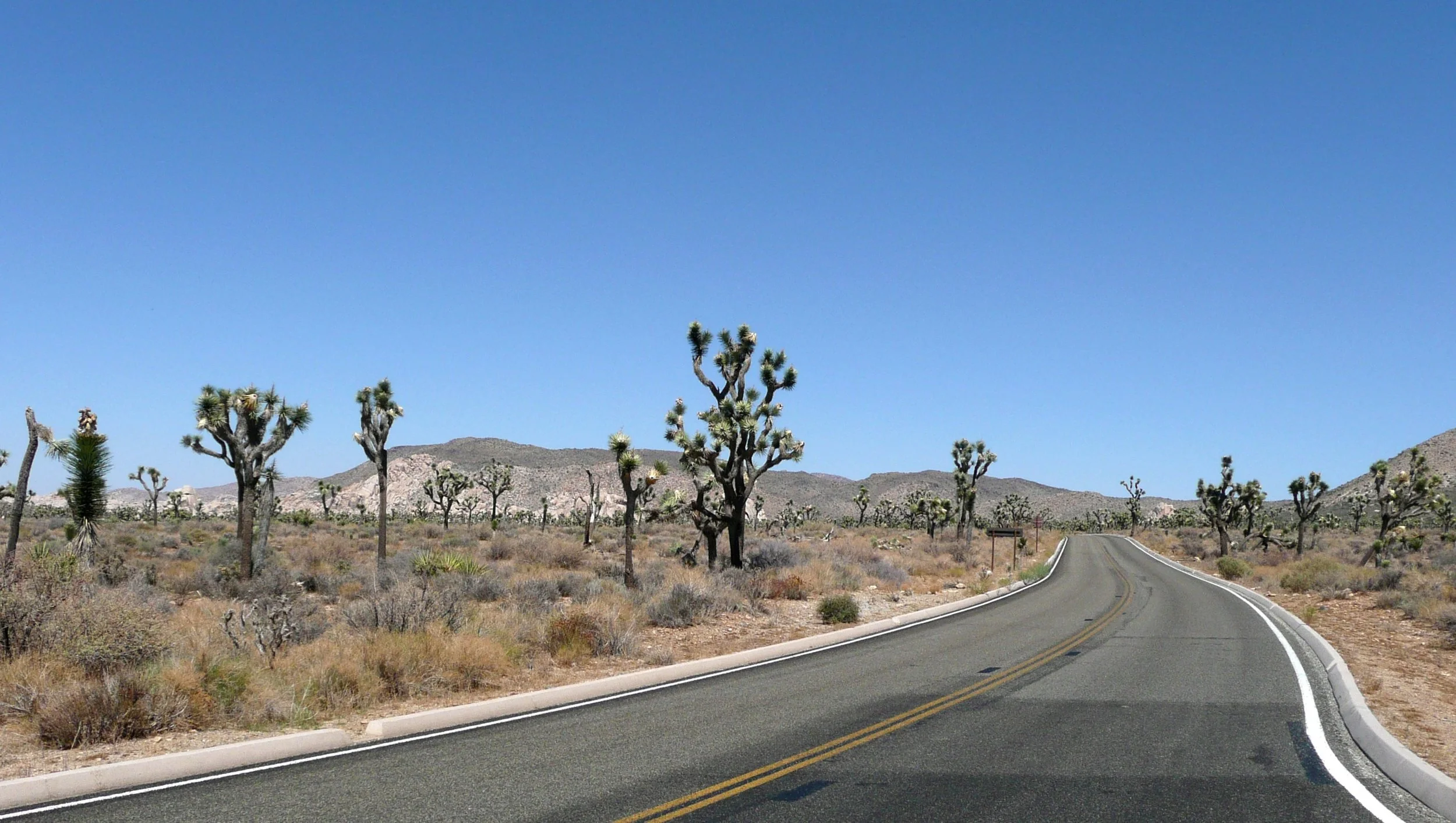 A road runs through Joshua Tree National Park in the Mojave Desert, California. Walking tours are the ultimate choice when a neighborhood’s charm lies in its micro-details