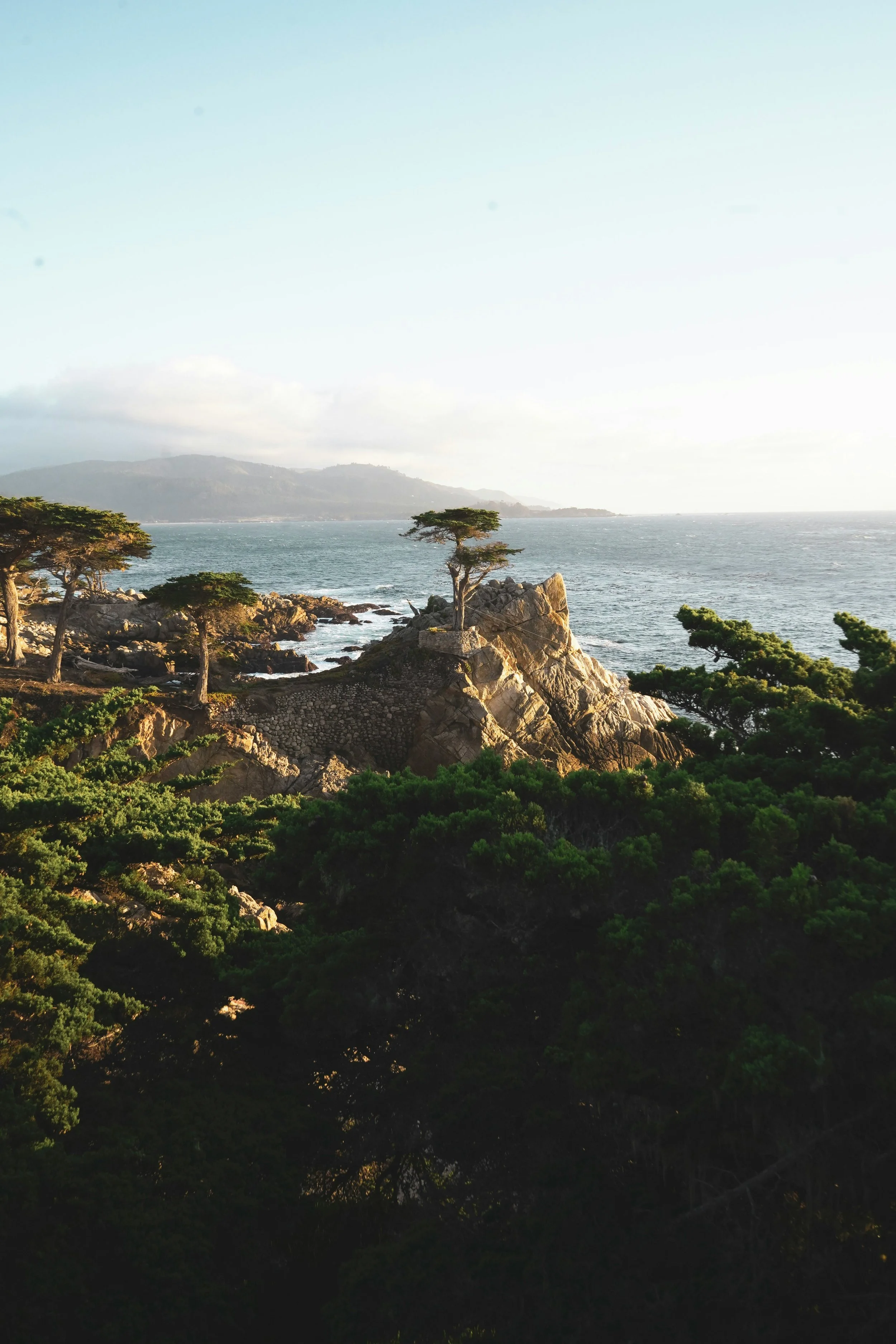 A tree grows on a rocky outcrop on the Big Sur coast. Drives & Detours Monterey Tour