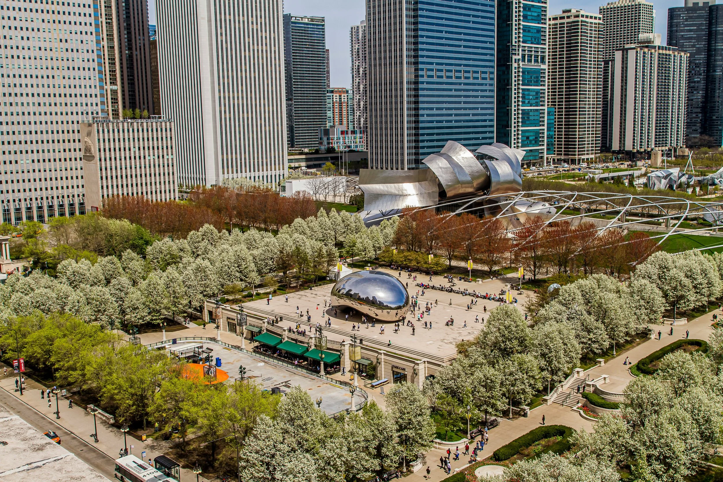 An aerial shot of cloud gate in Millenium Park, suurounded by trees and skycrapers. Drives & Detours Chicago Loop walking tour