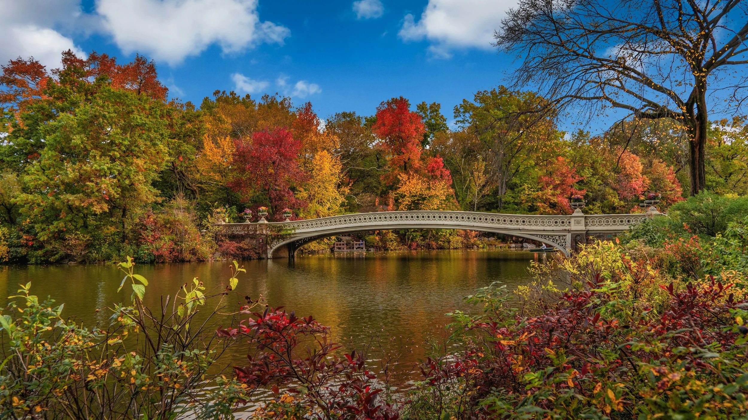 The Bow Bridge in Central Park, New York, is surrounded by fall foliage of various colors