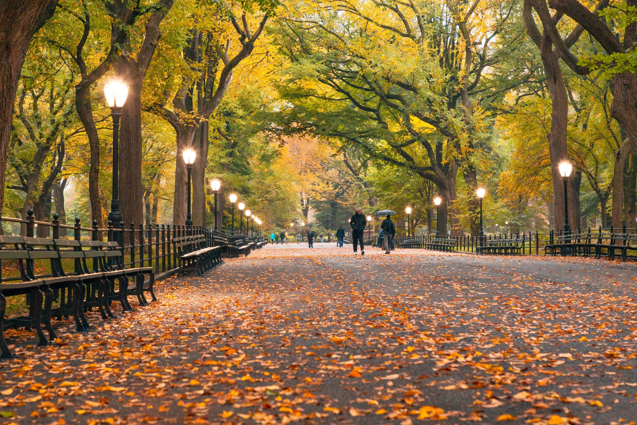 People stroll along the Literary Walk in Central Park, New York, during fall. The trees are full of fall foliage, and the streetlamps are on