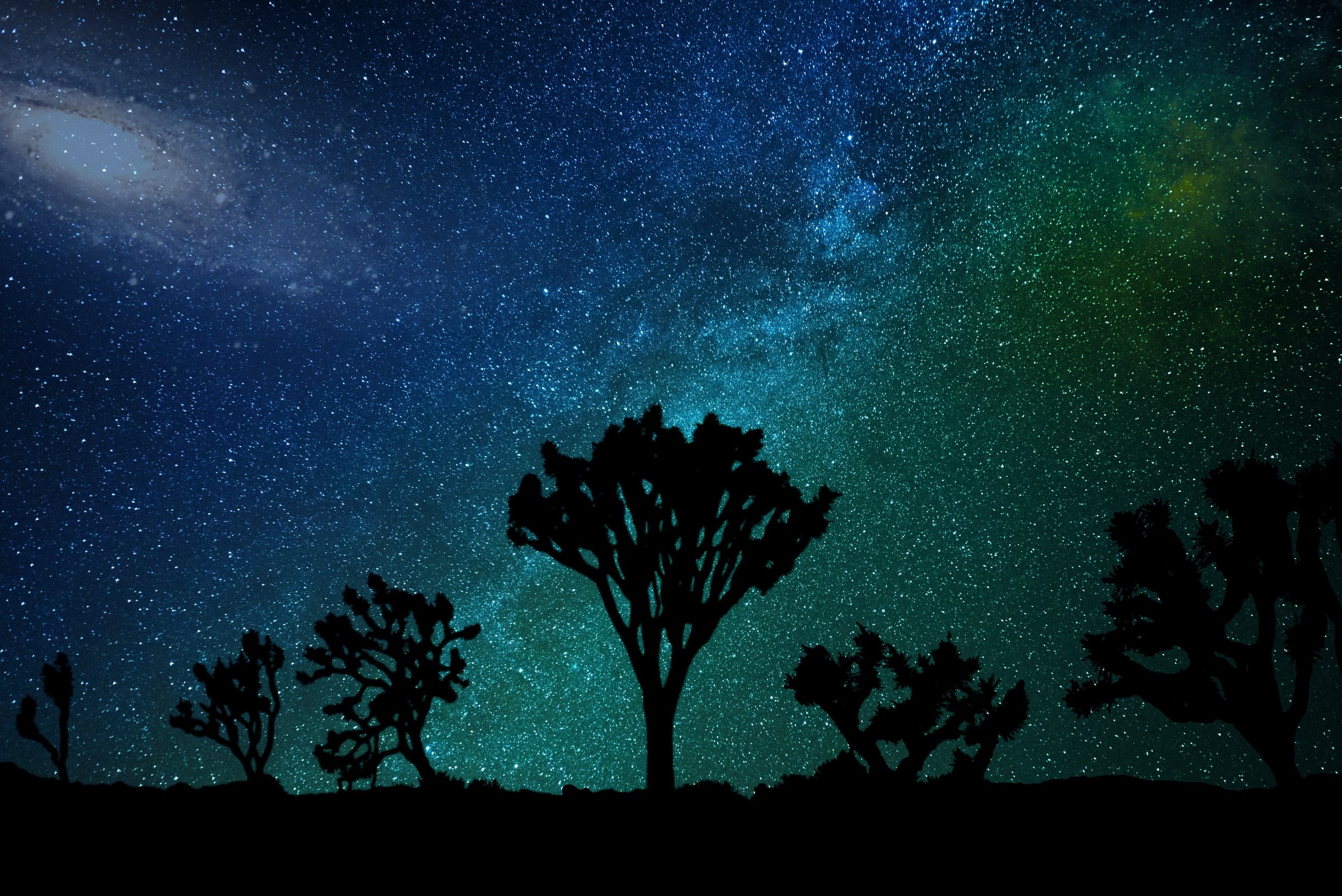 Where to Rest Your Head in the High Desert: Joshua Tree’s Most Unique Stays