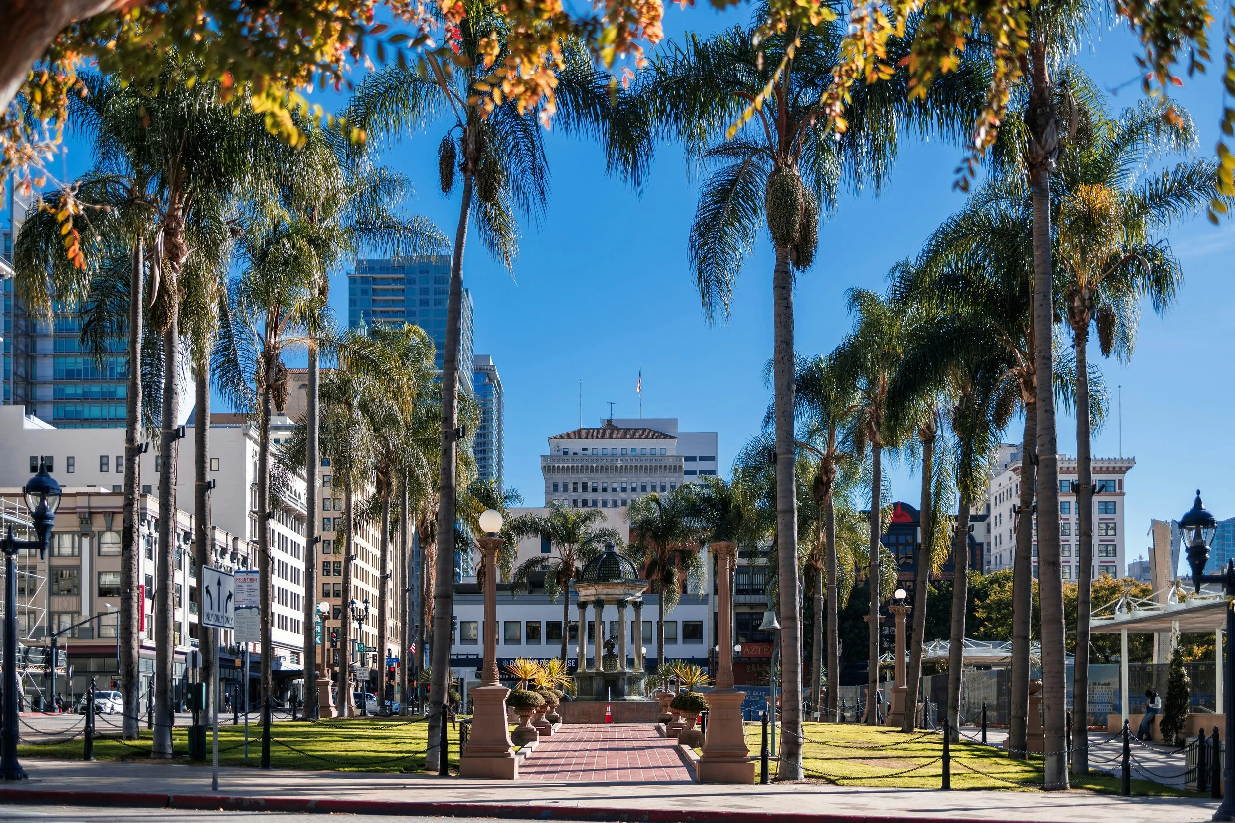 Palm Trees surround Horton Plaza Park in San Diego's Gaslamp Quarter