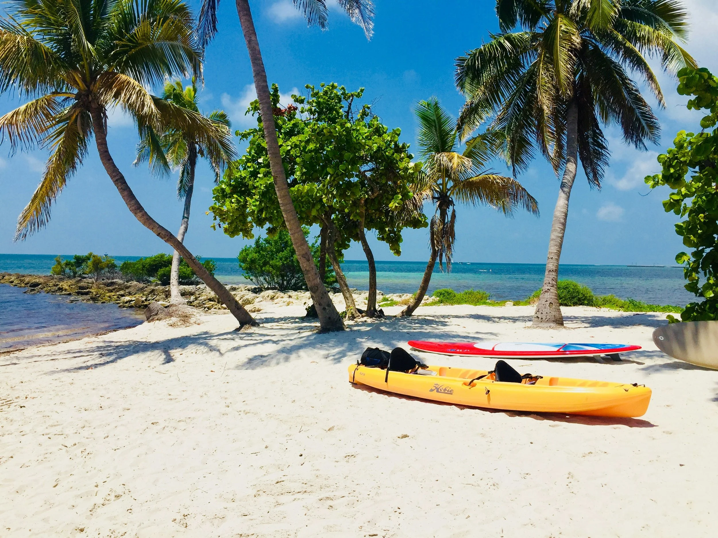 A yellow canoe and red surfboard lie on a beach under palm trees in Key West. A small spit of land runs out into the blue ocean behind them