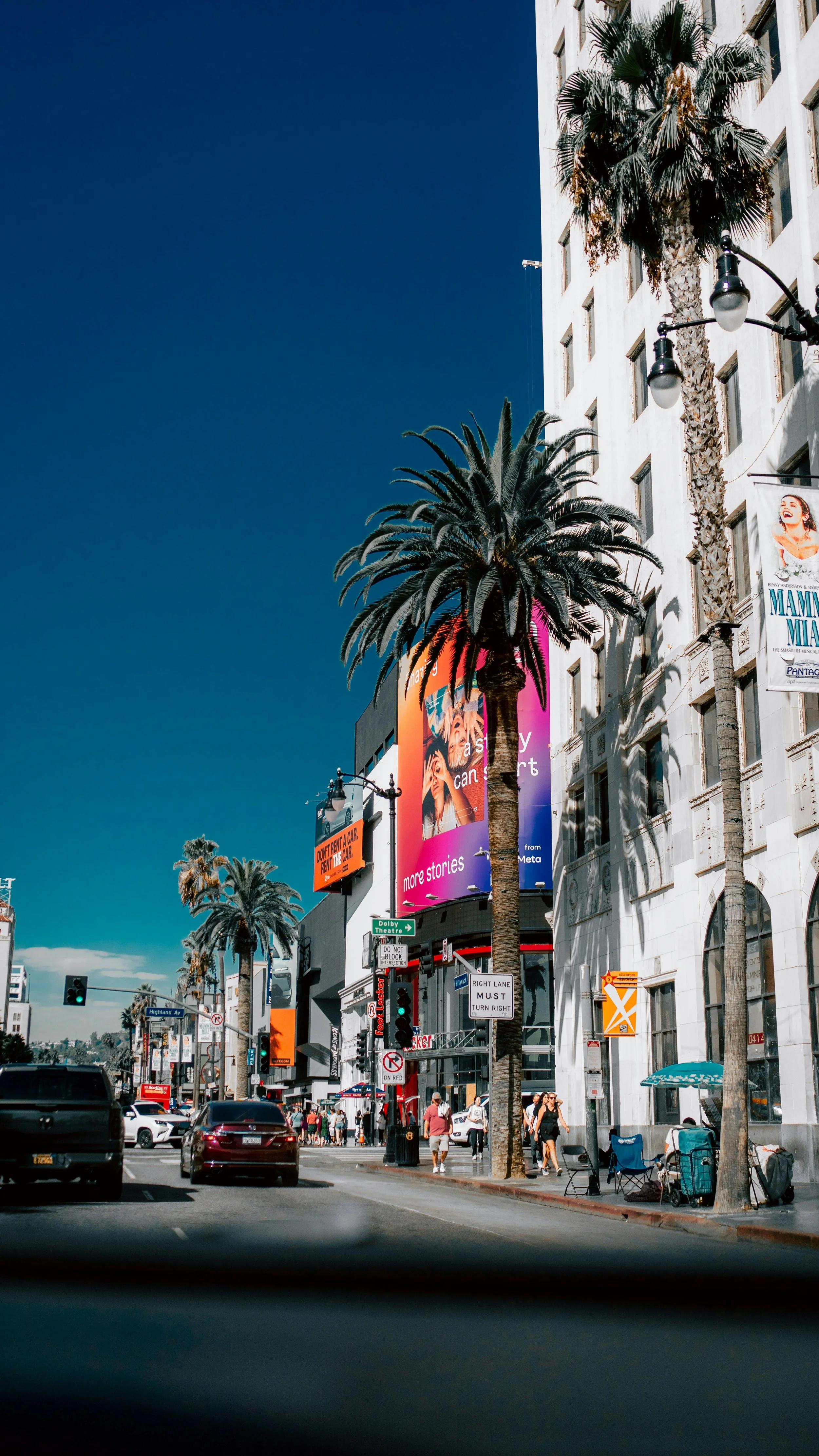 Palm trees line Hollywood Boulevard in Los Angeles on a sunny day