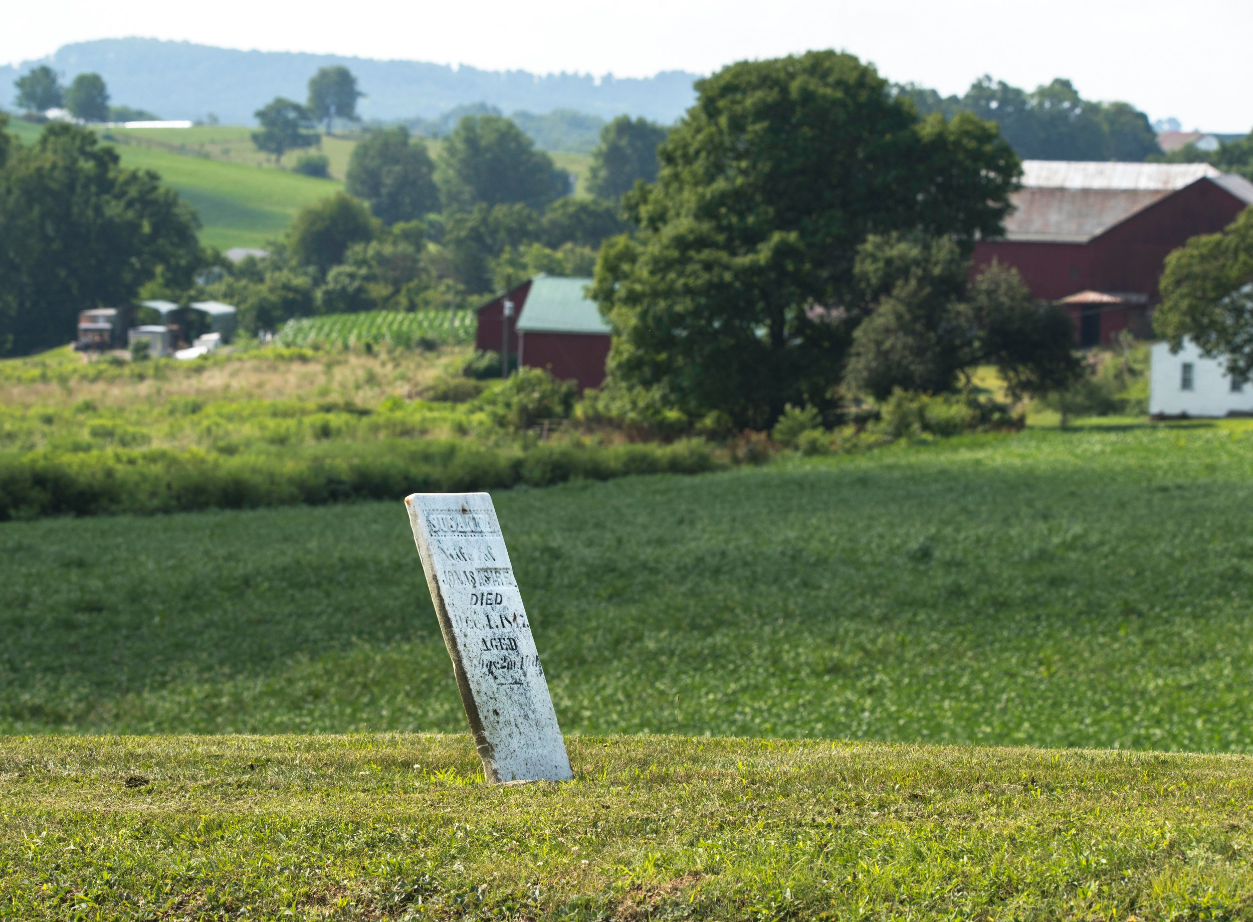 An ancient white headsone in a field near New Bedford, Massachusetts