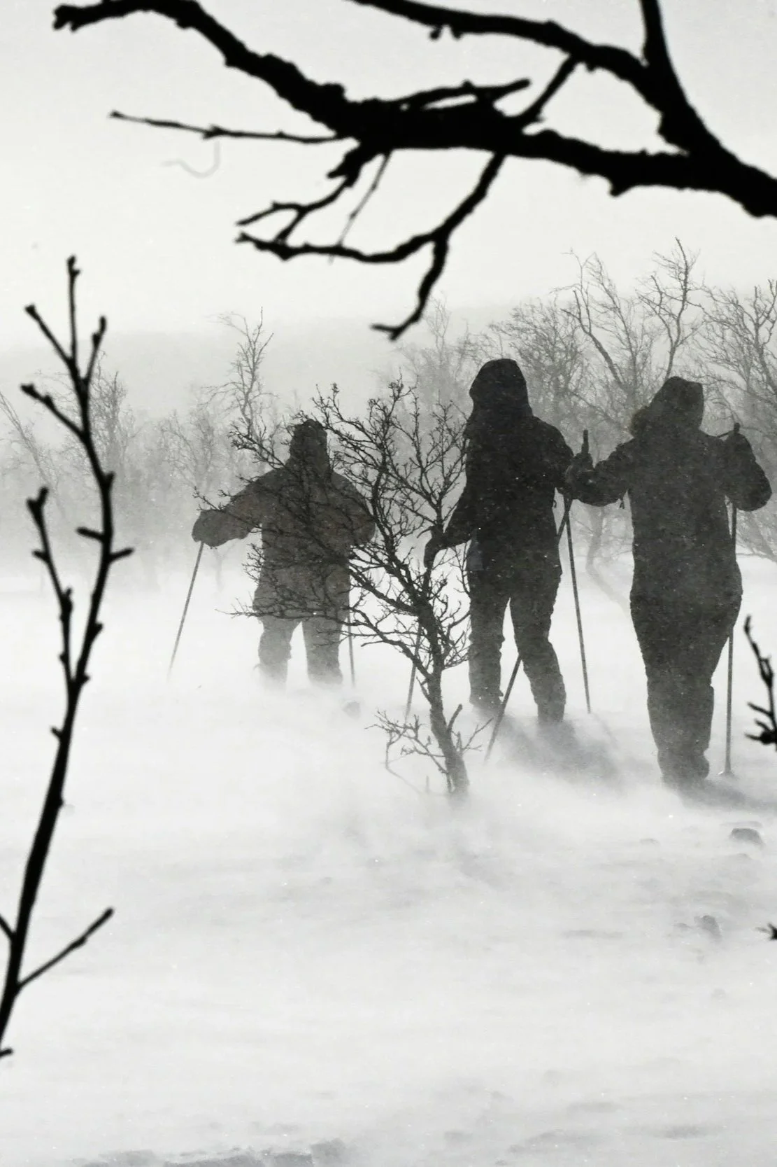 Cross-country skier travelling through a snowy forest