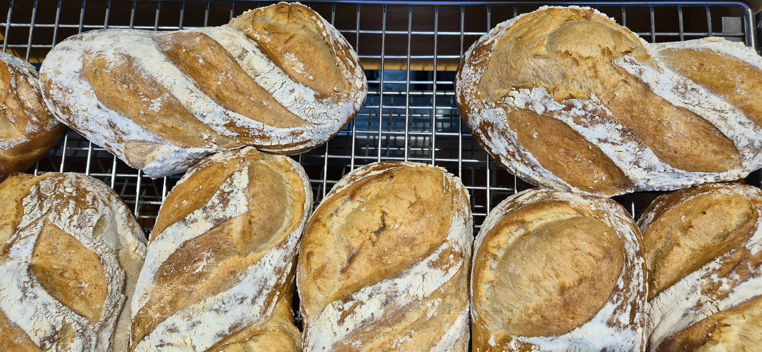 History, Fermentation Science, and Wild Yeast