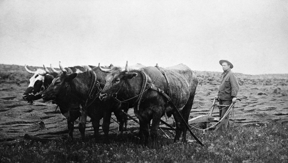 The Mechanics of the Homestead