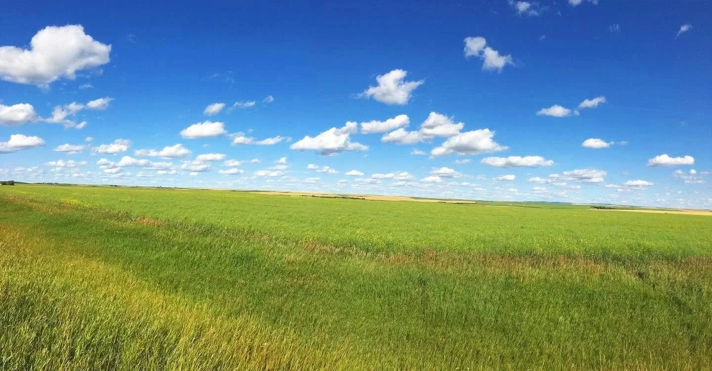 What is a prairie?