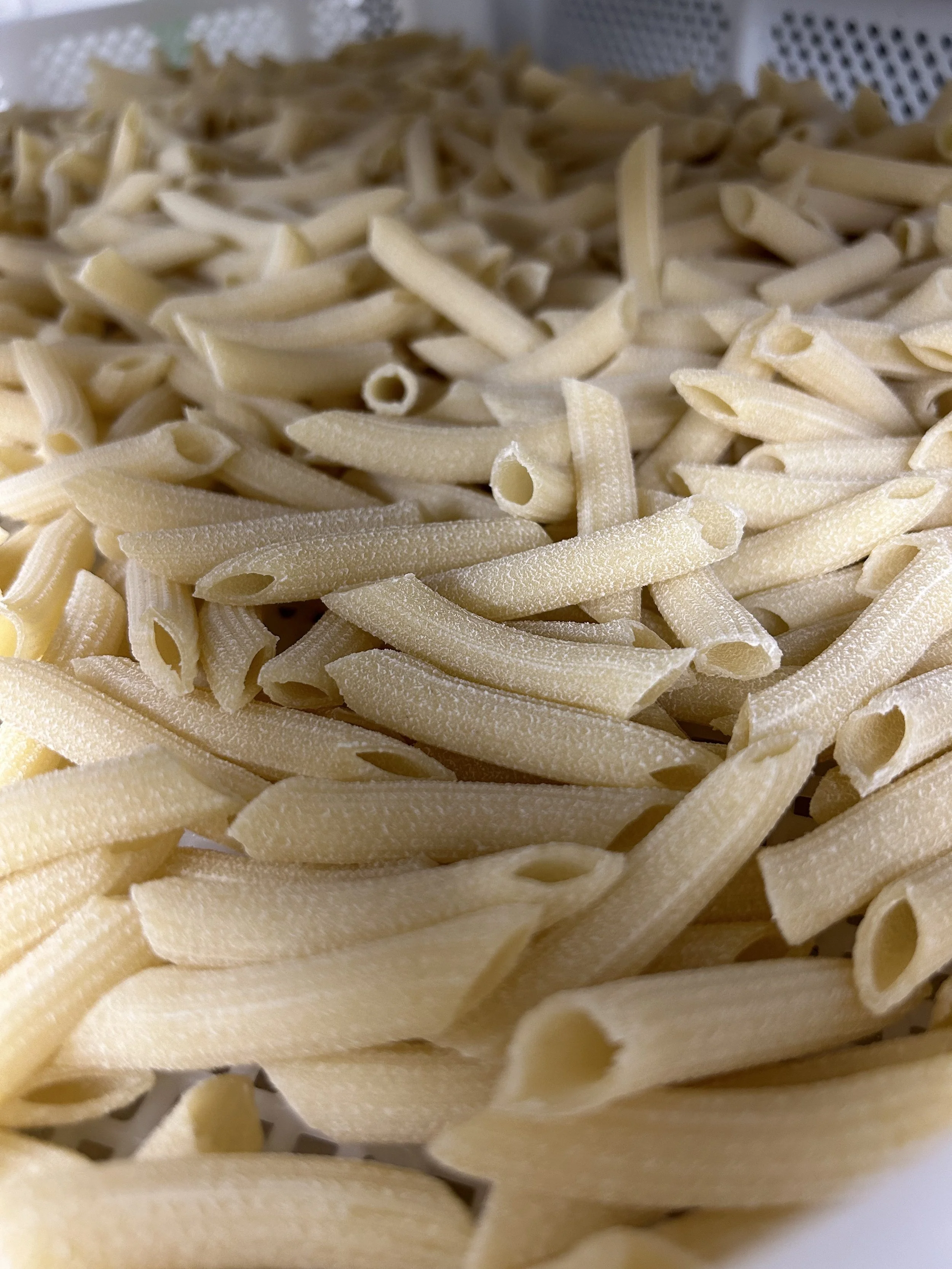 Fresh Penne Semolina Pasta