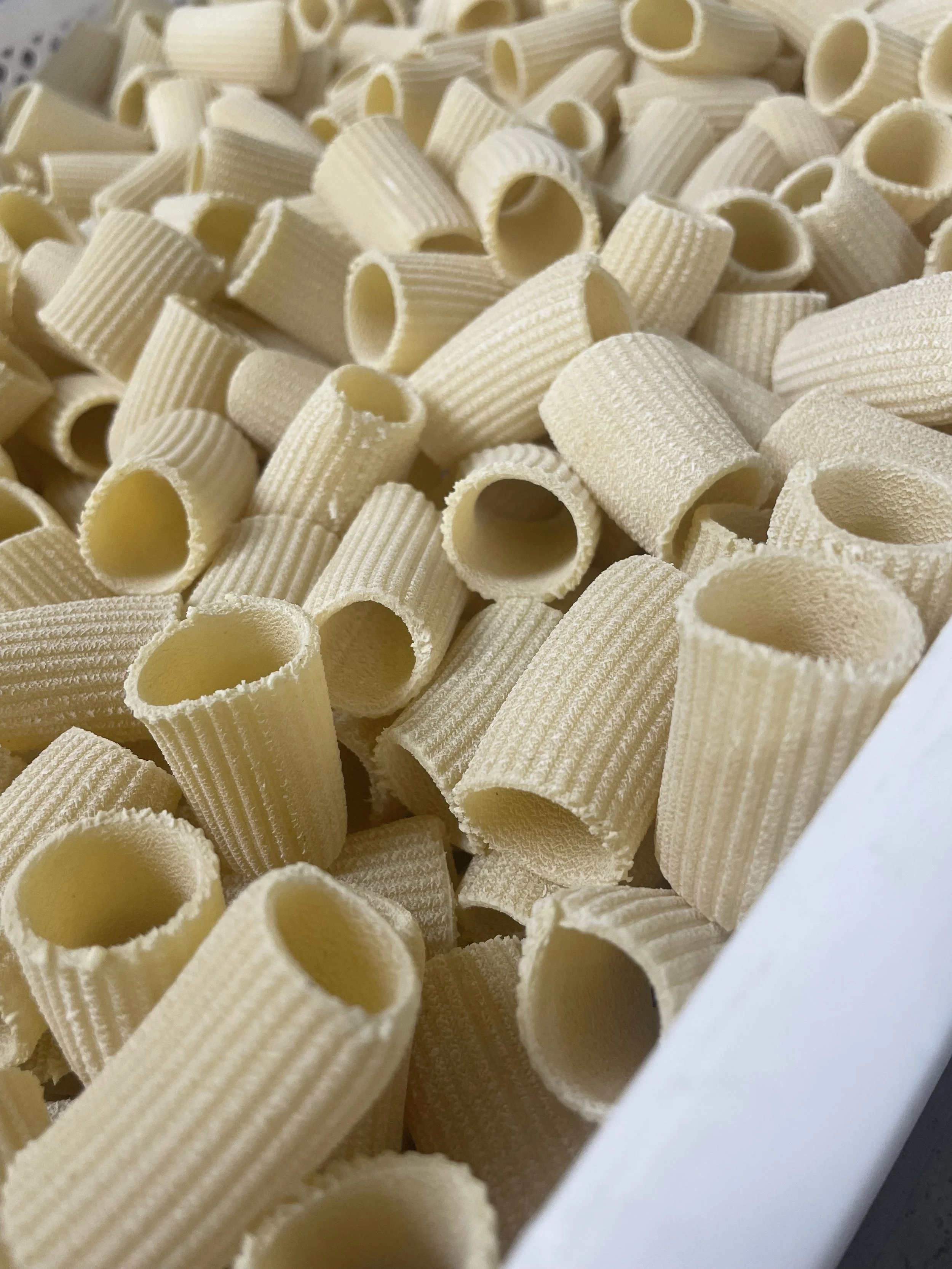 Fresh Rigatoni Semolina Pasta