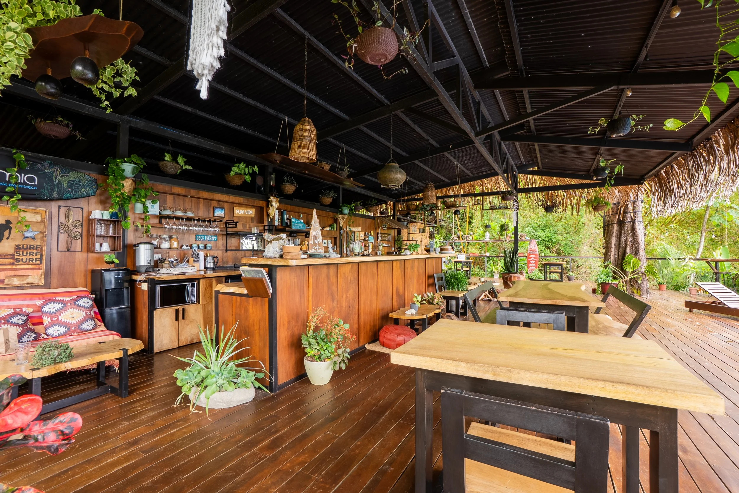DSC00416-HDR.jpg