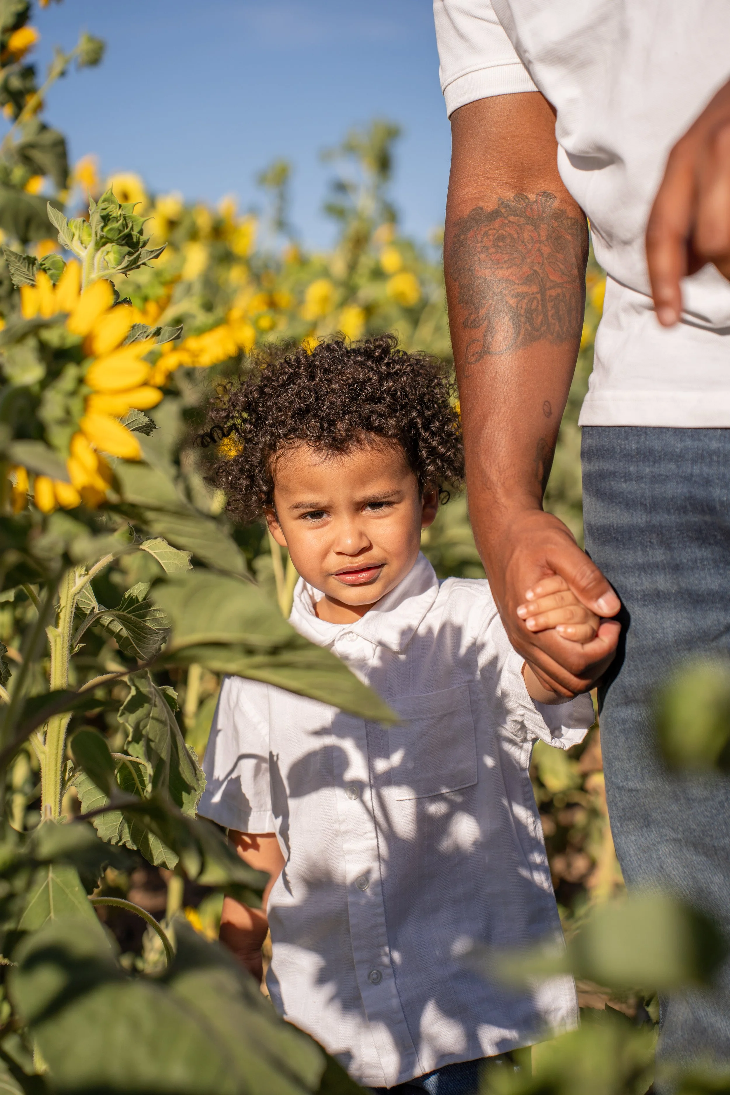 Sunflower Fairs-14.jpg