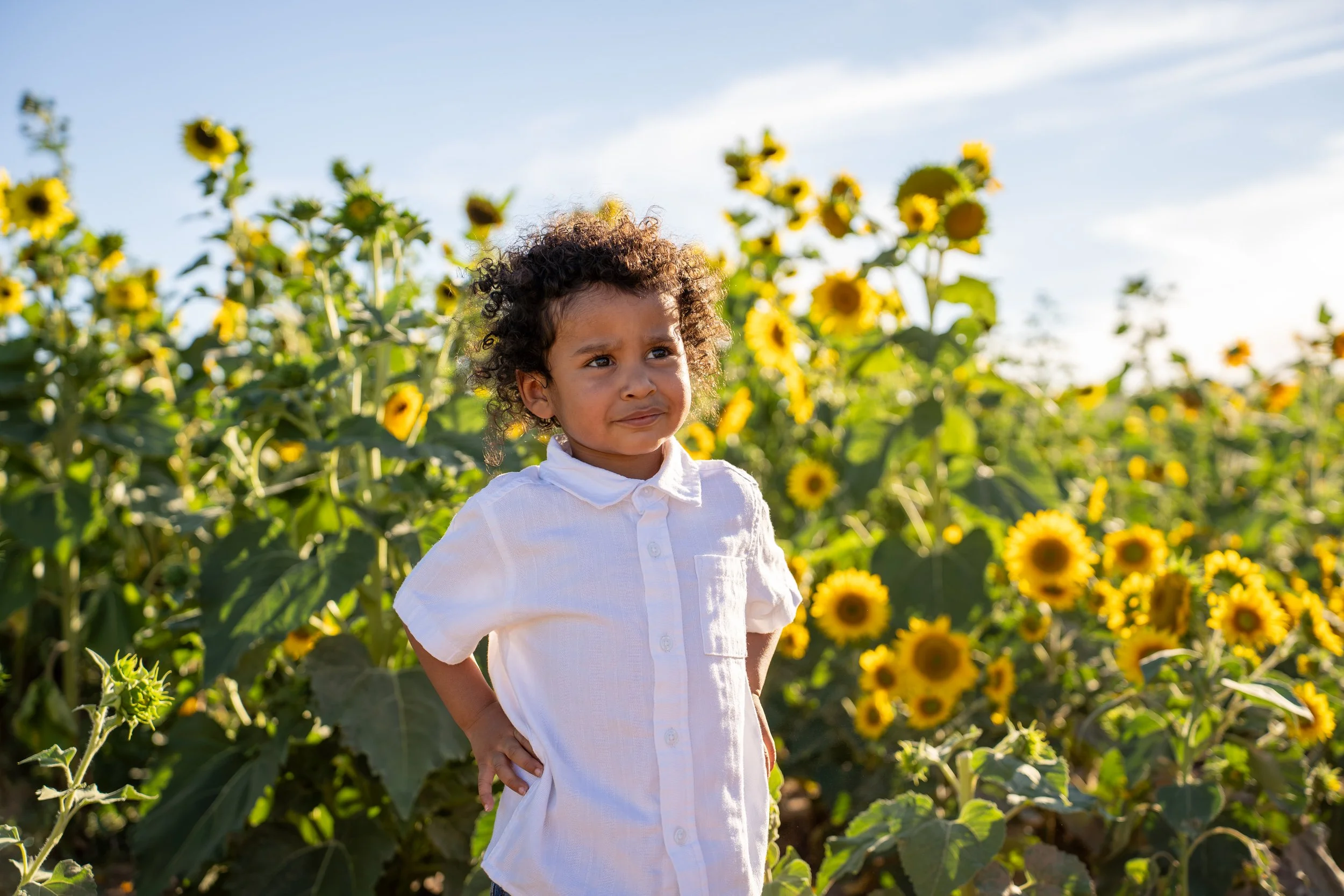 Sunflower Fairs-34.jpg