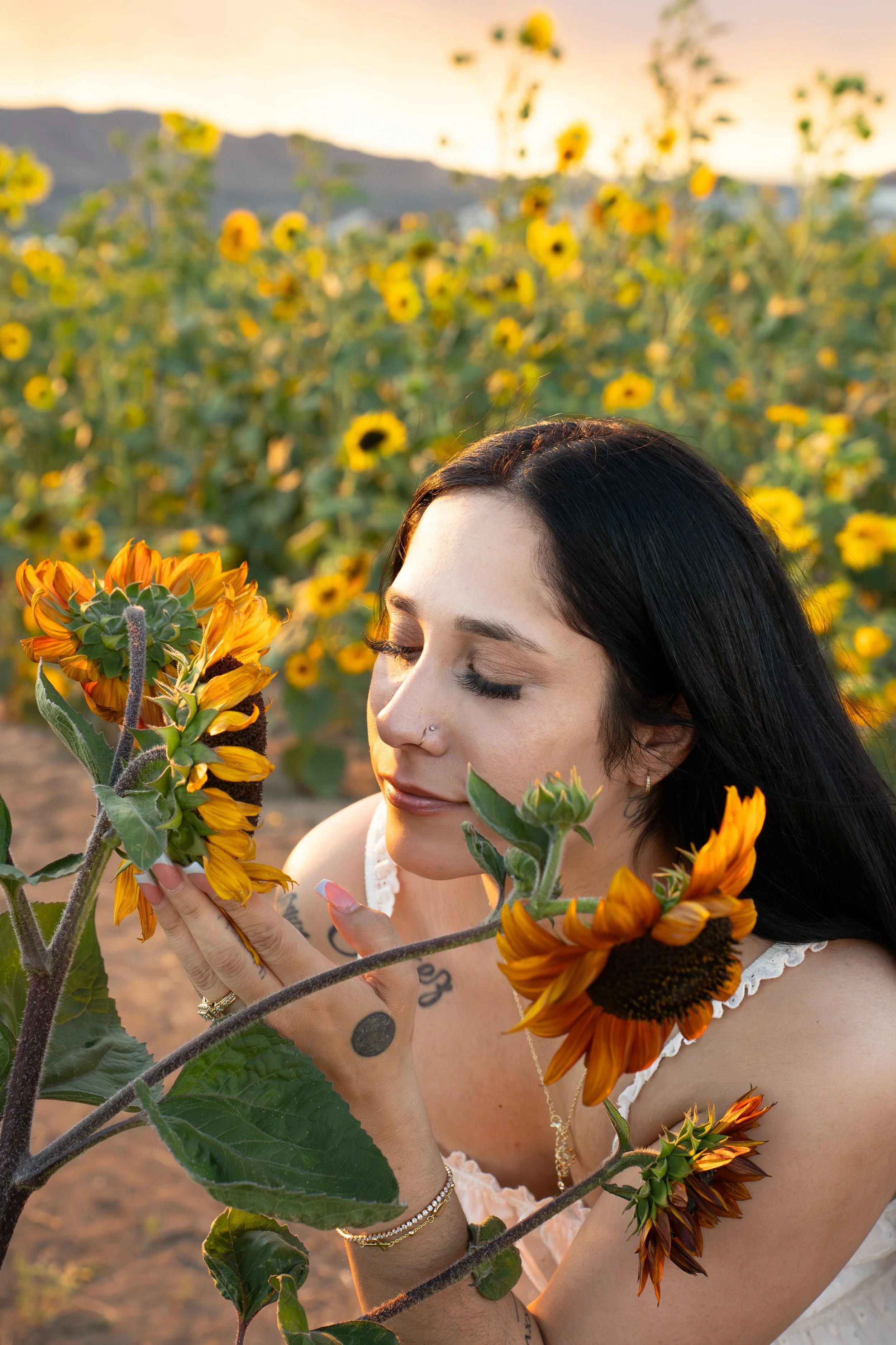 Sunflower Fairs-44.jpg