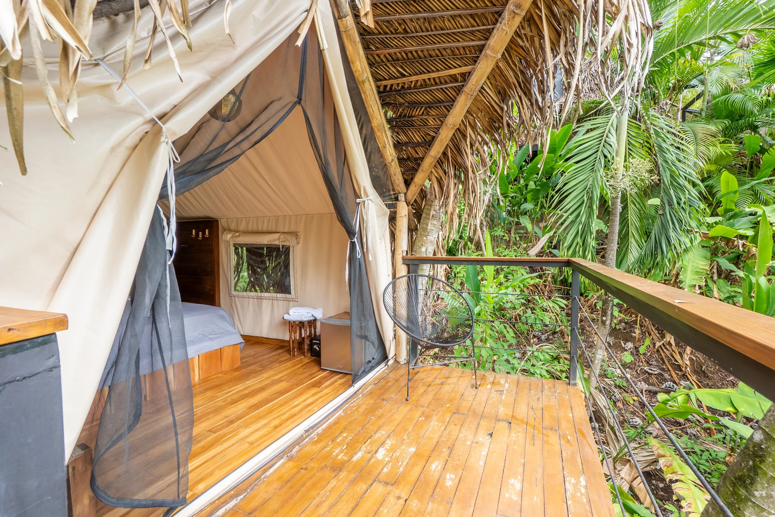 DSC00491-HDR.jpg