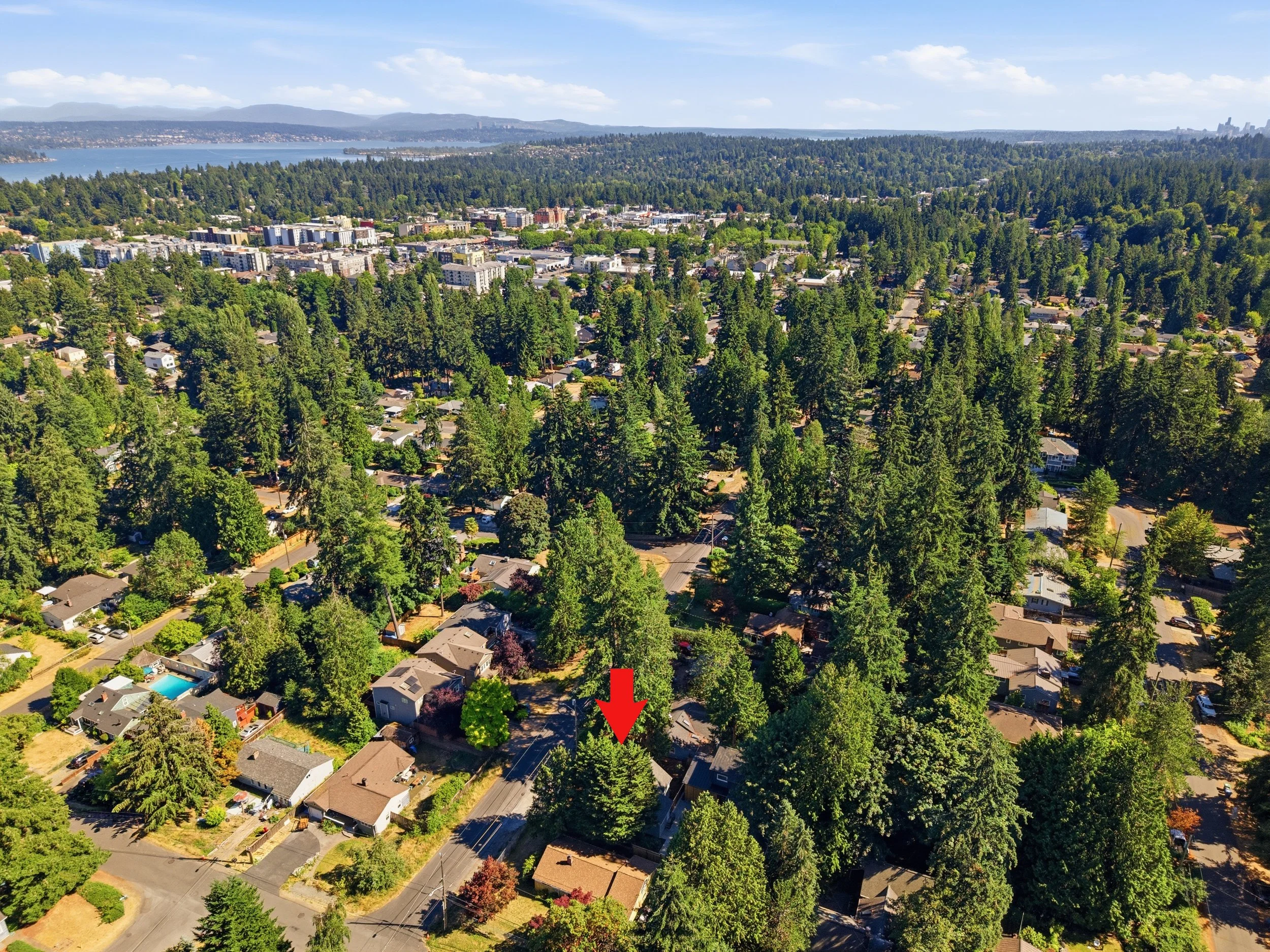 15-DJI_20260709162106_0040_Da.jpg