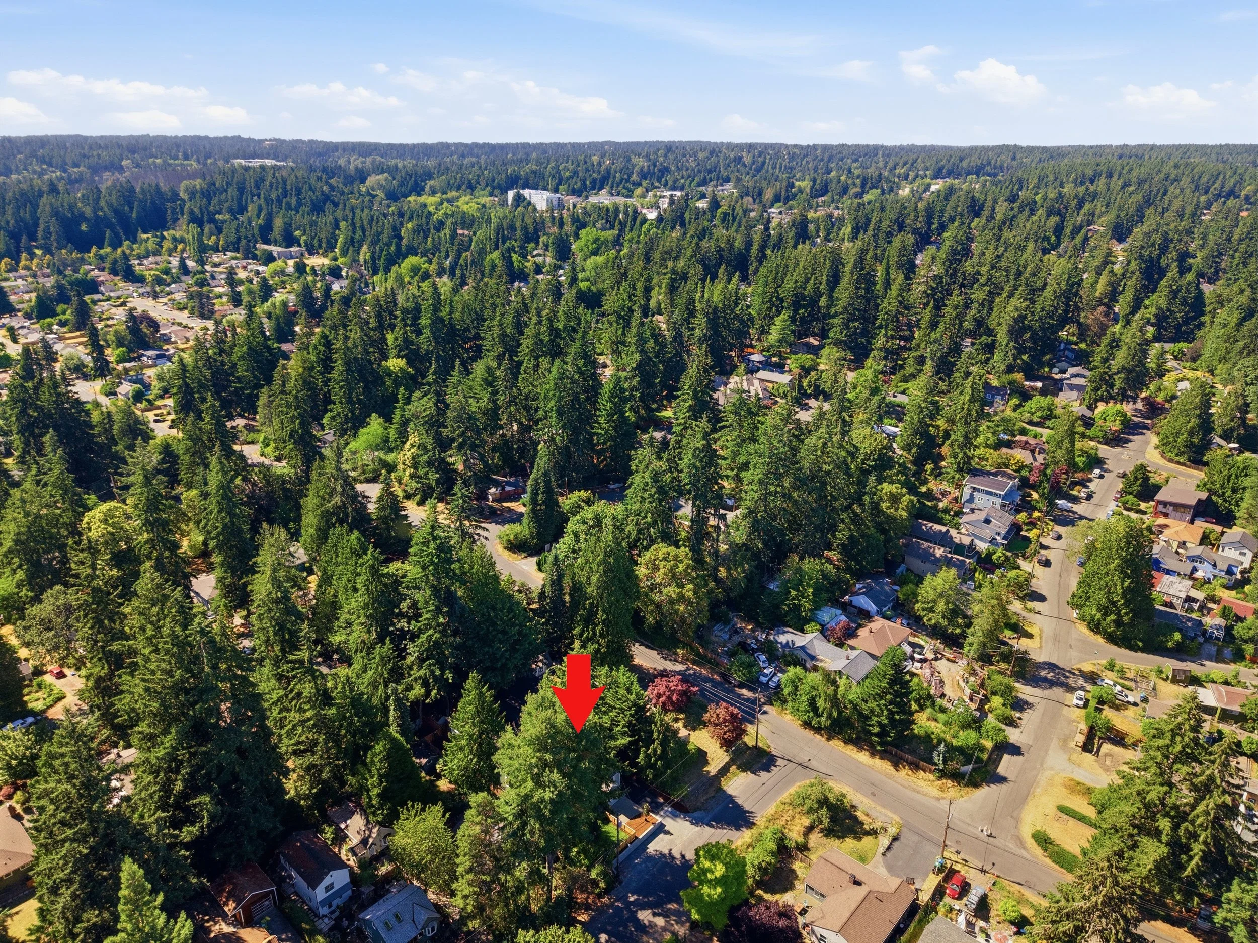 21-DJI_20260709162141_0055_Da.jpg