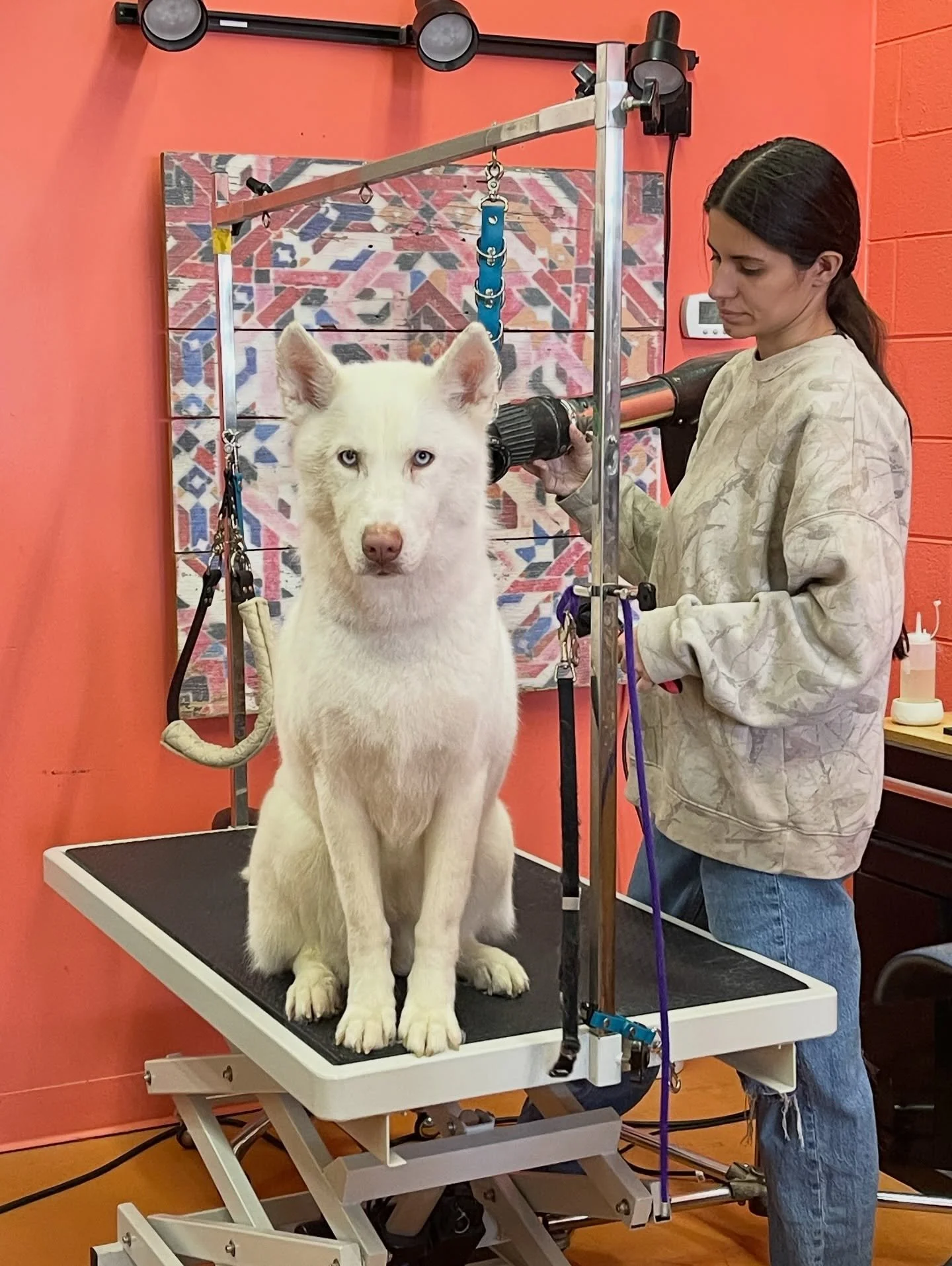 My personal dog Sharkira!!!!! Thank you Emily for making her not smell like Fritos