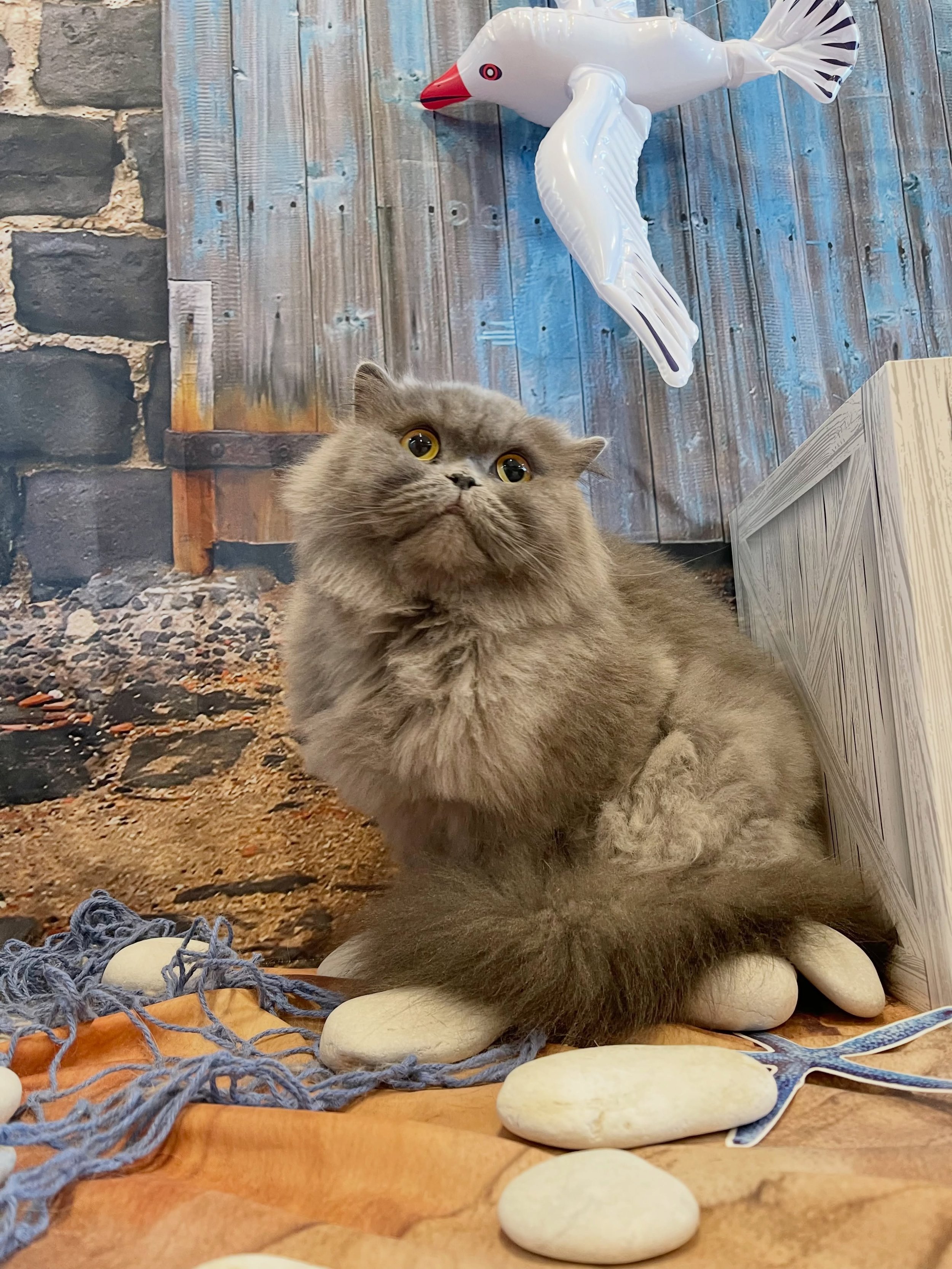 Pixel