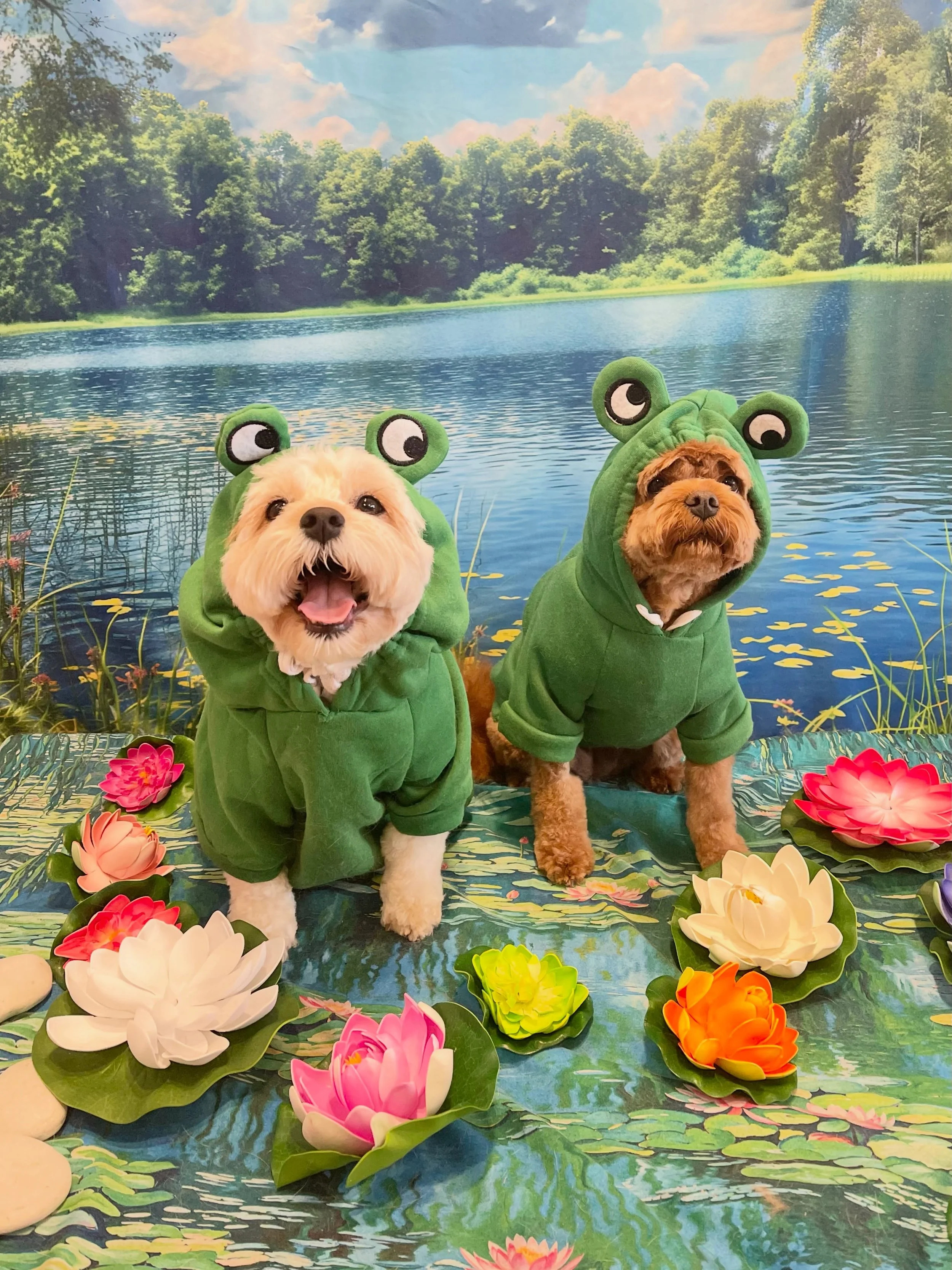 Willow and Niblet