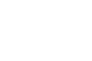 Hillsborough College.png