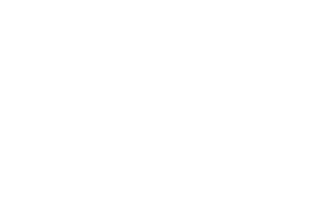 Kennesaw State University.png