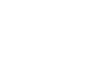 Emory.png