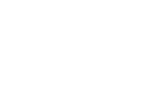 Agnes Scott College.png