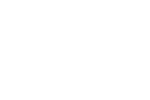 Georgia State University.png