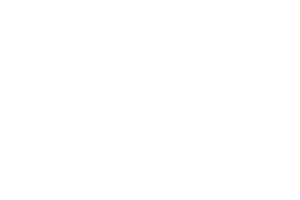 Boise State University.png
