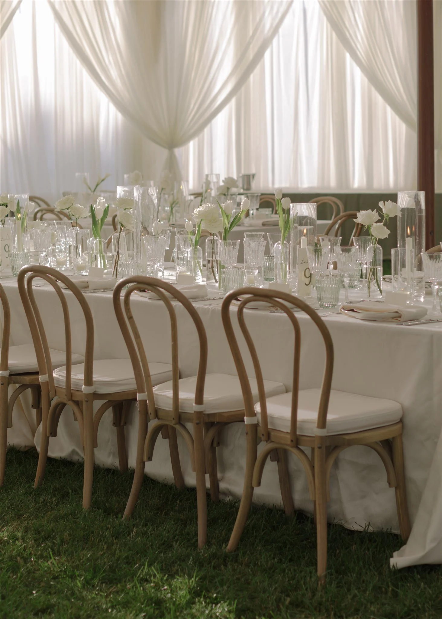 6K5A1030-Enhanced-NR (1).jpg