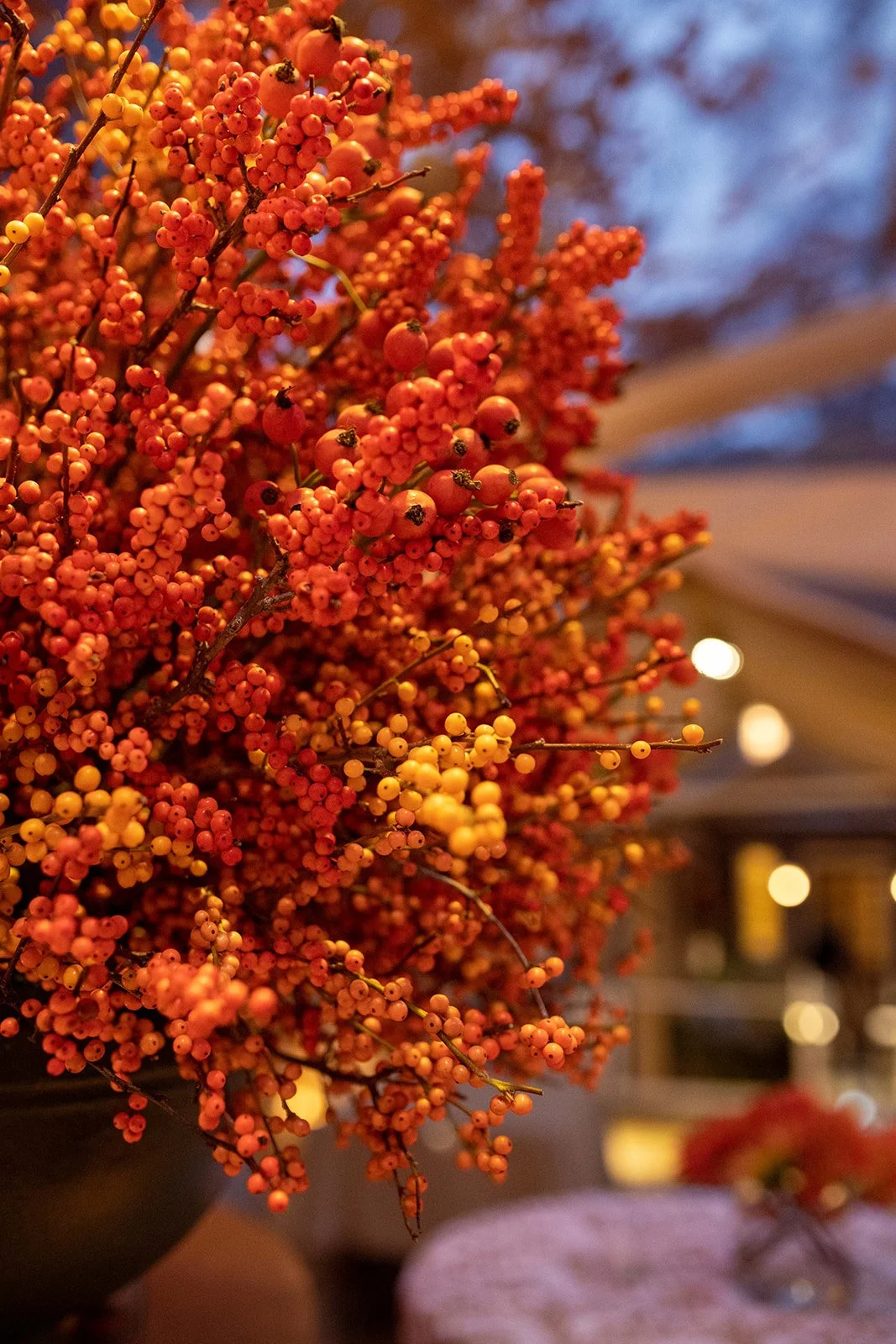 KRISTINSWEETING_RK_engagementparty-117 (1).jpg