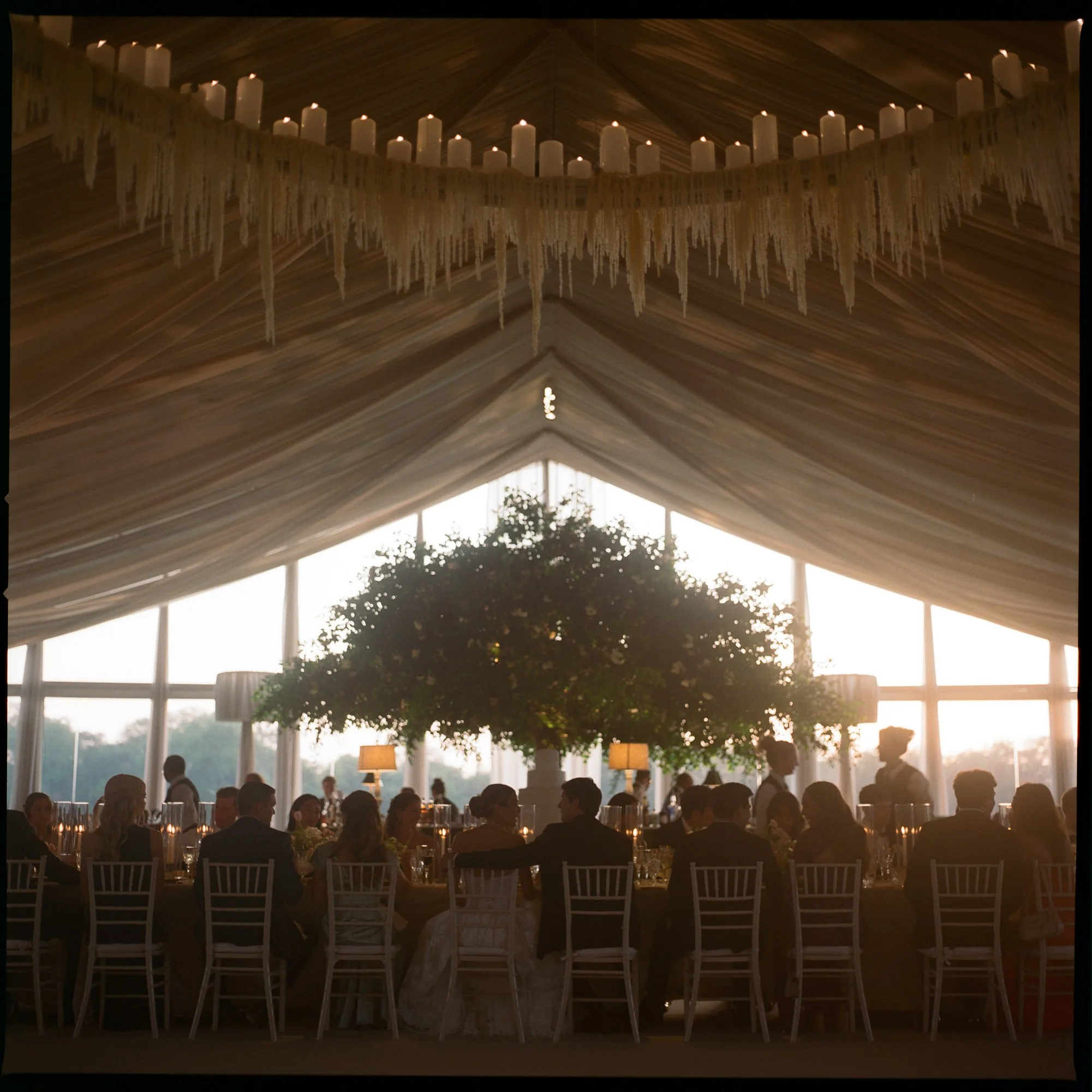 AbigailLewisPhoto.-124 (1).jpg