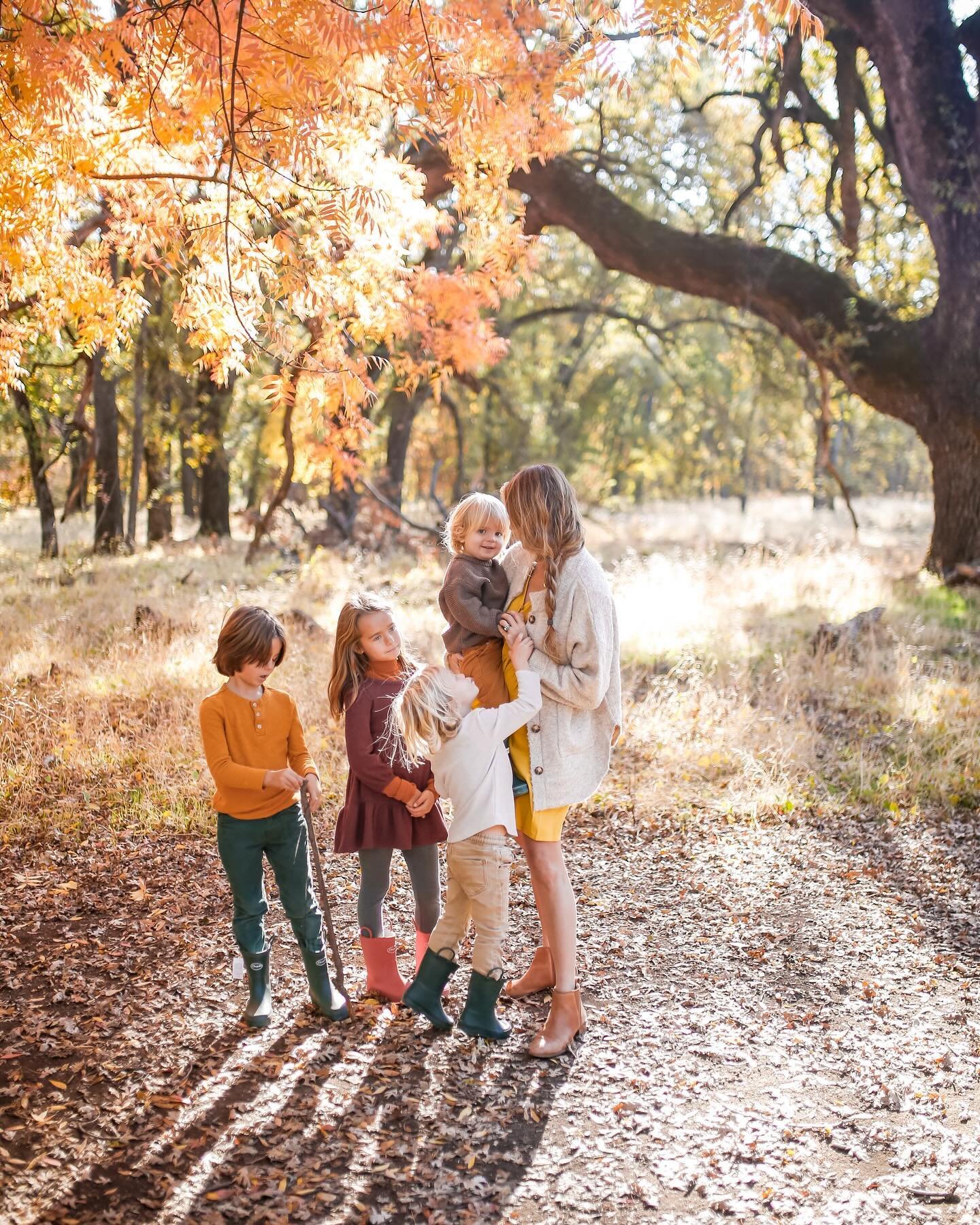 I&rsquo;ve been quiet from posting on IG this last month. The honest truth is that every free moment has been filled to the brim with physically and emotionally demanding decisions and tasks related to our home situation. We have almost consistently 